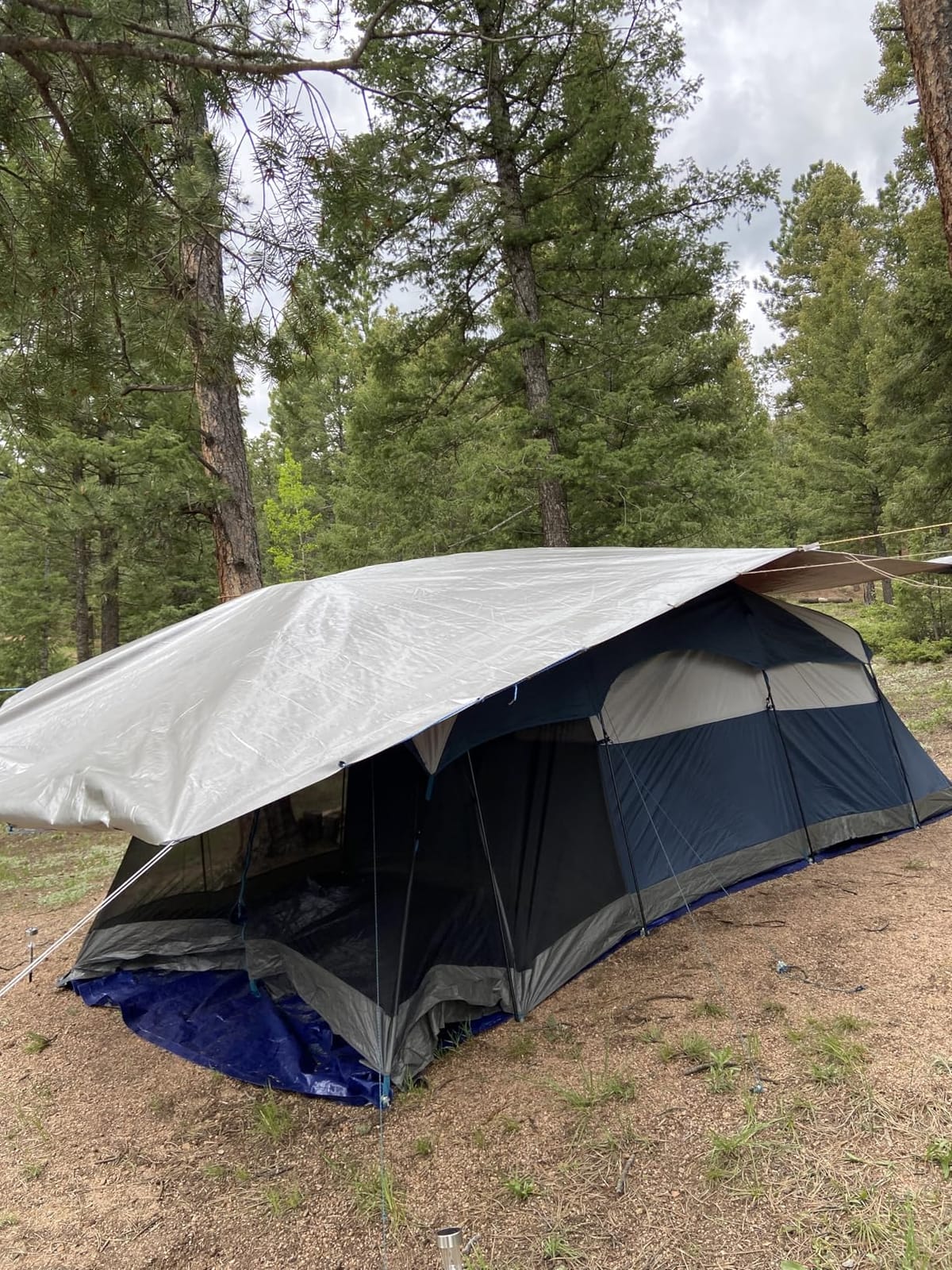 PORTAL 6/8/10 Person Family Camping Tent with Screen Room customer photo 2