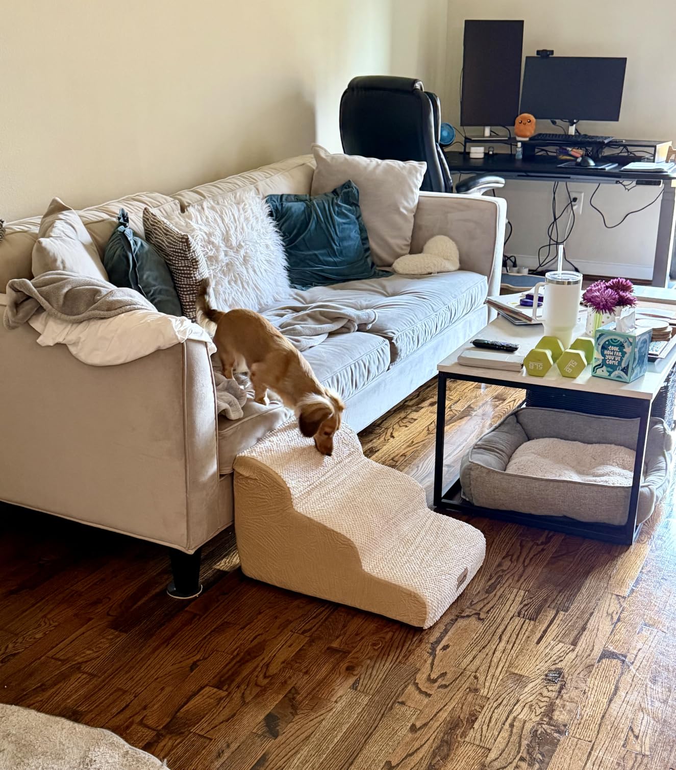 COZY KISS Dog Stair for Small Dog 15.7