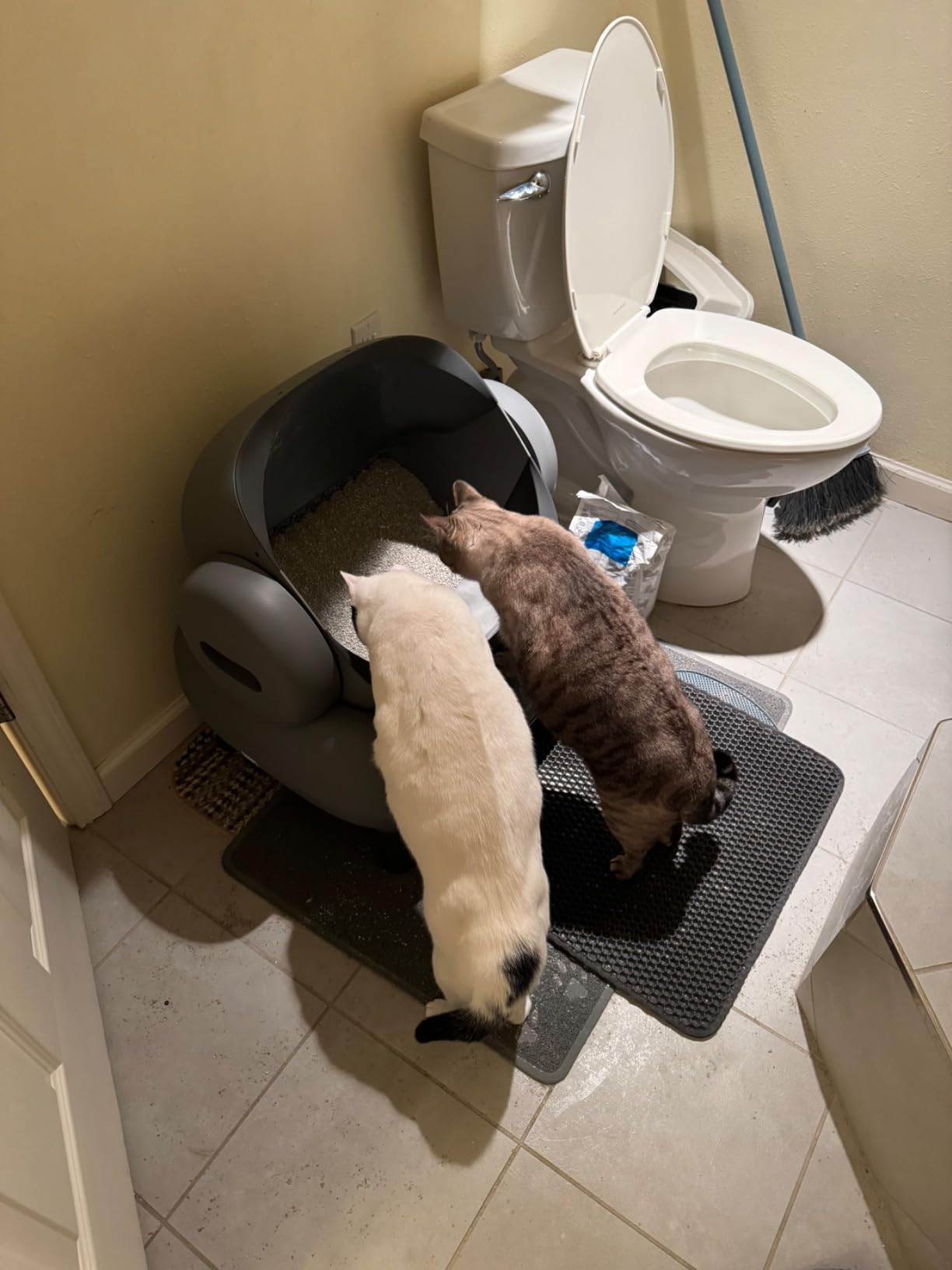 Neakasa M1 Plus Automatic Cat Litter Box with 2-Year Protection Plan customer photo 2