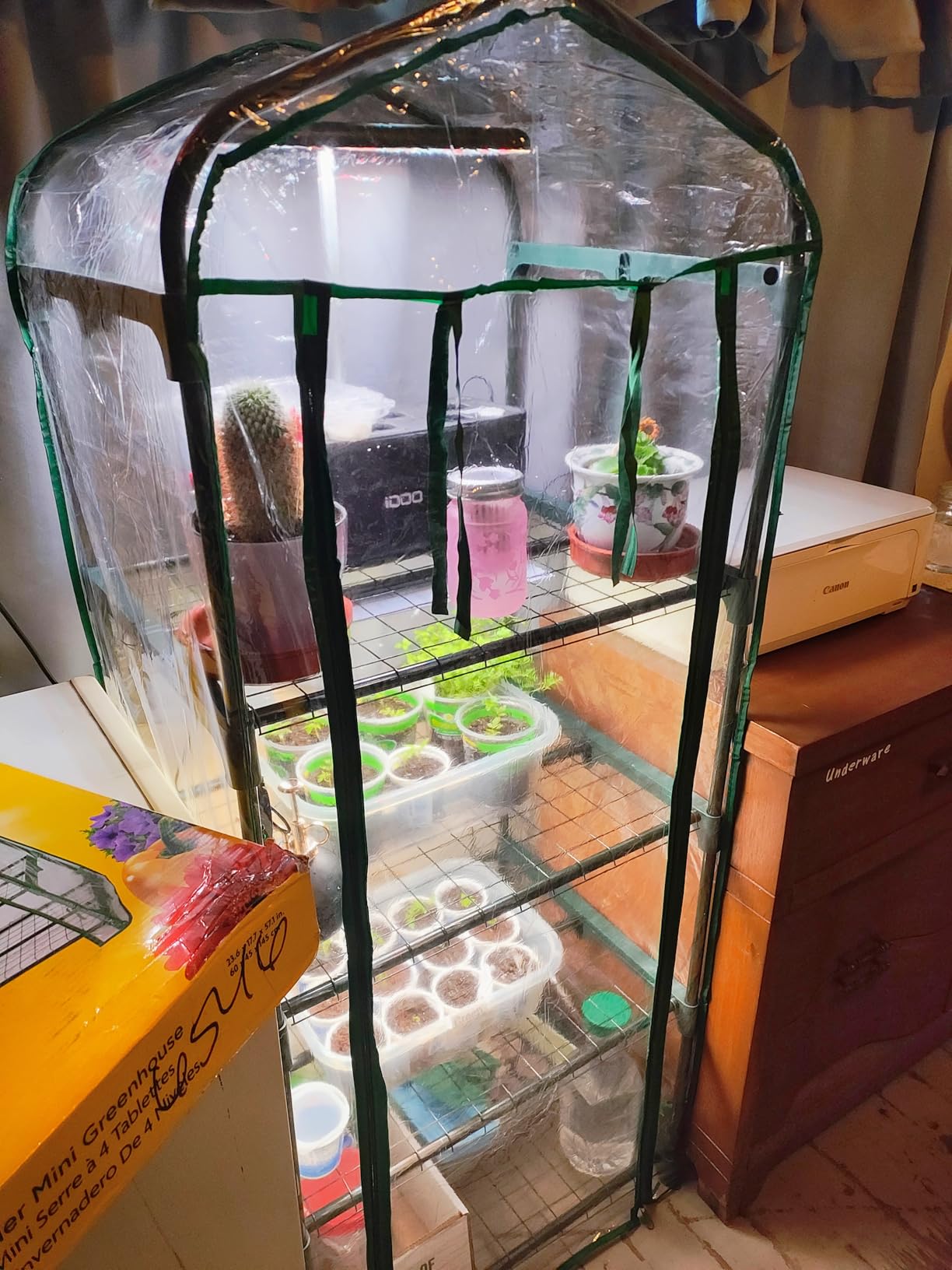 Miracle-Gro Walk-in Greenhouse, Removable Shelves, Transparent, 4'8