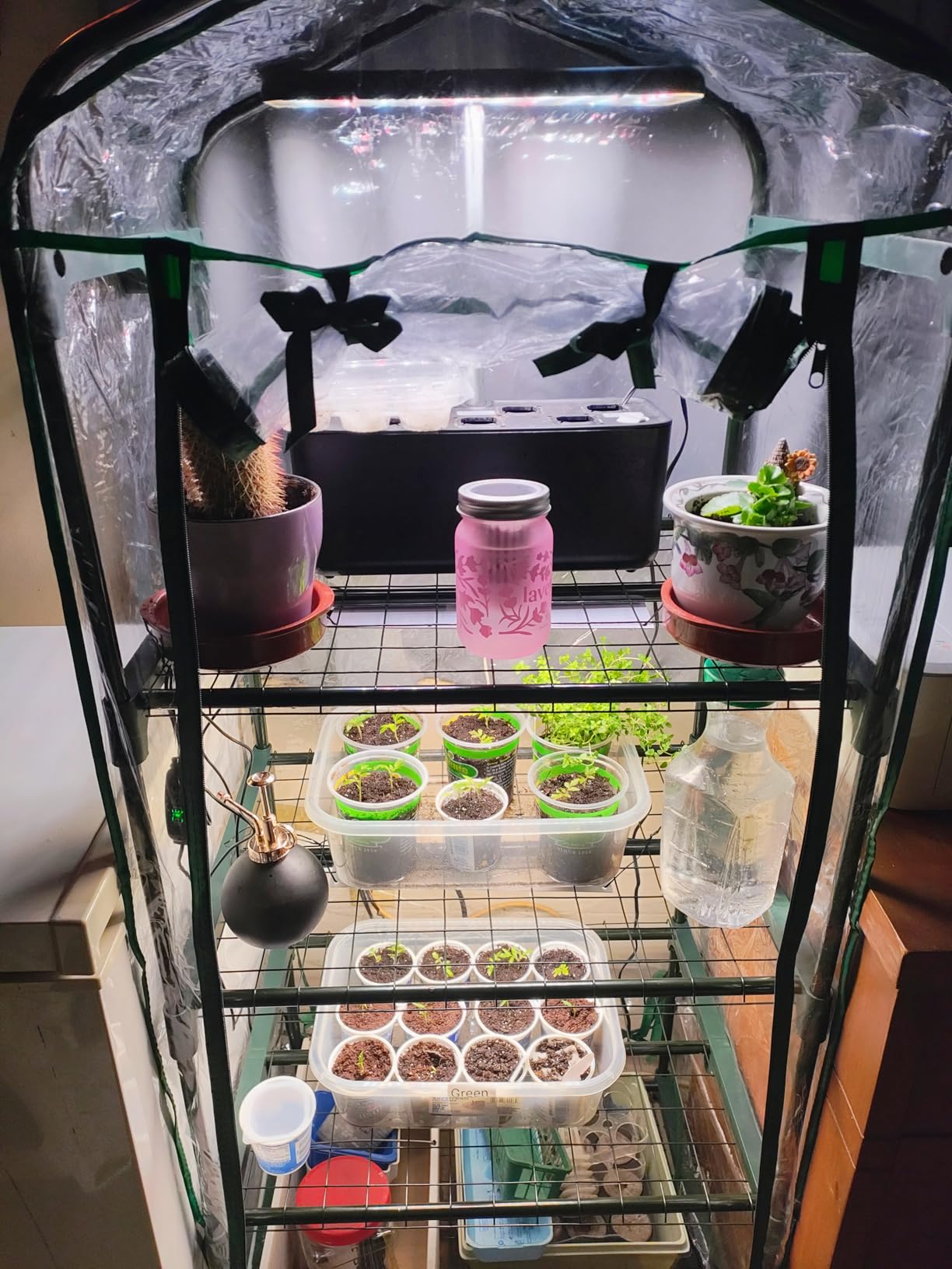 Miracle-Gro Walk-in Greenhouse, Removable Shelves, Transparent, 4'8