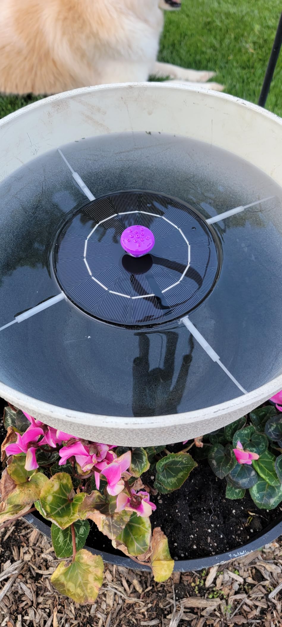 Solar Bird Bath Fountain Pump, Solar Powered Water Pump, Outdoor Water Fountain with 8-in-1 Nozzles, 4 Fixed Pipes for Hummingbirds, Garden, Pool, Pond customer photo 2
