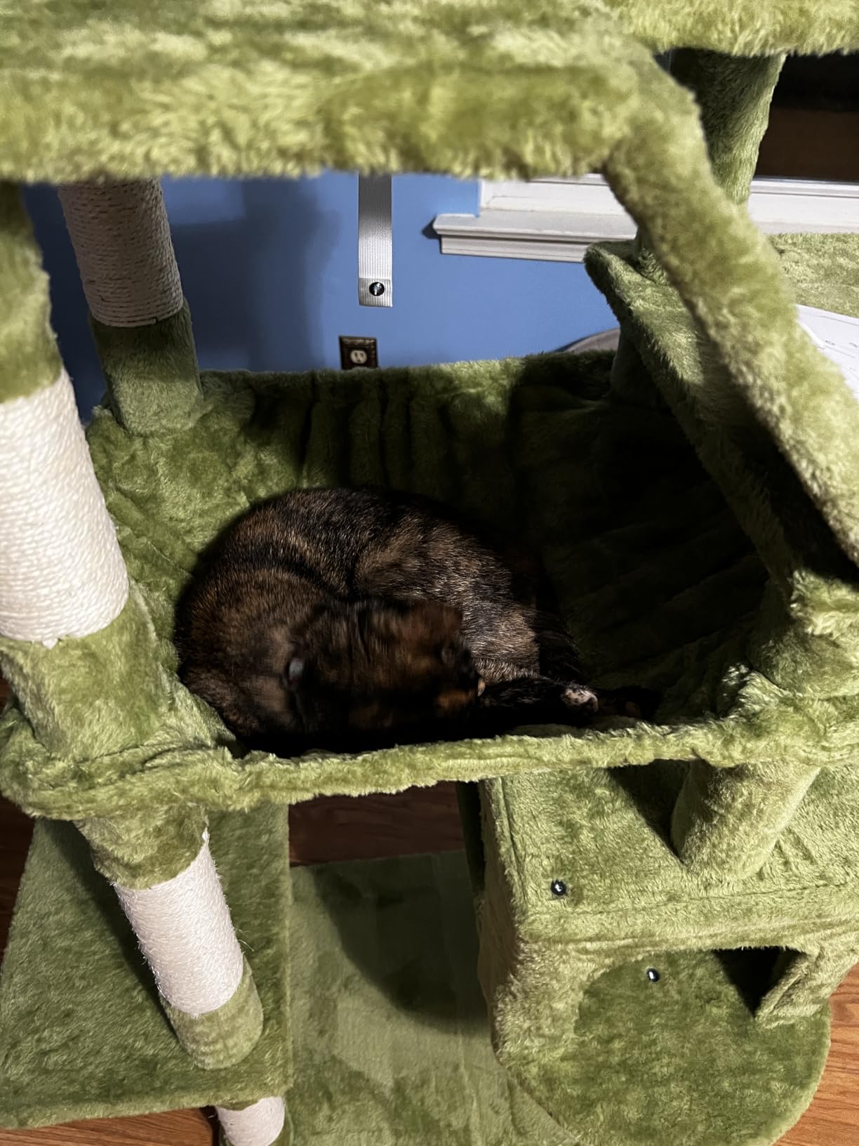 Heybly Cat Tree, 71-Inch-Tall Tower for Indoor Cats with 2 Perches HCT034G | Large Cat Furniture with 2 Big Condos, 2 Hammocks, Basket, Scratching Pad, Multi-Level Cat Condo, Smoky Gray customer photo 1