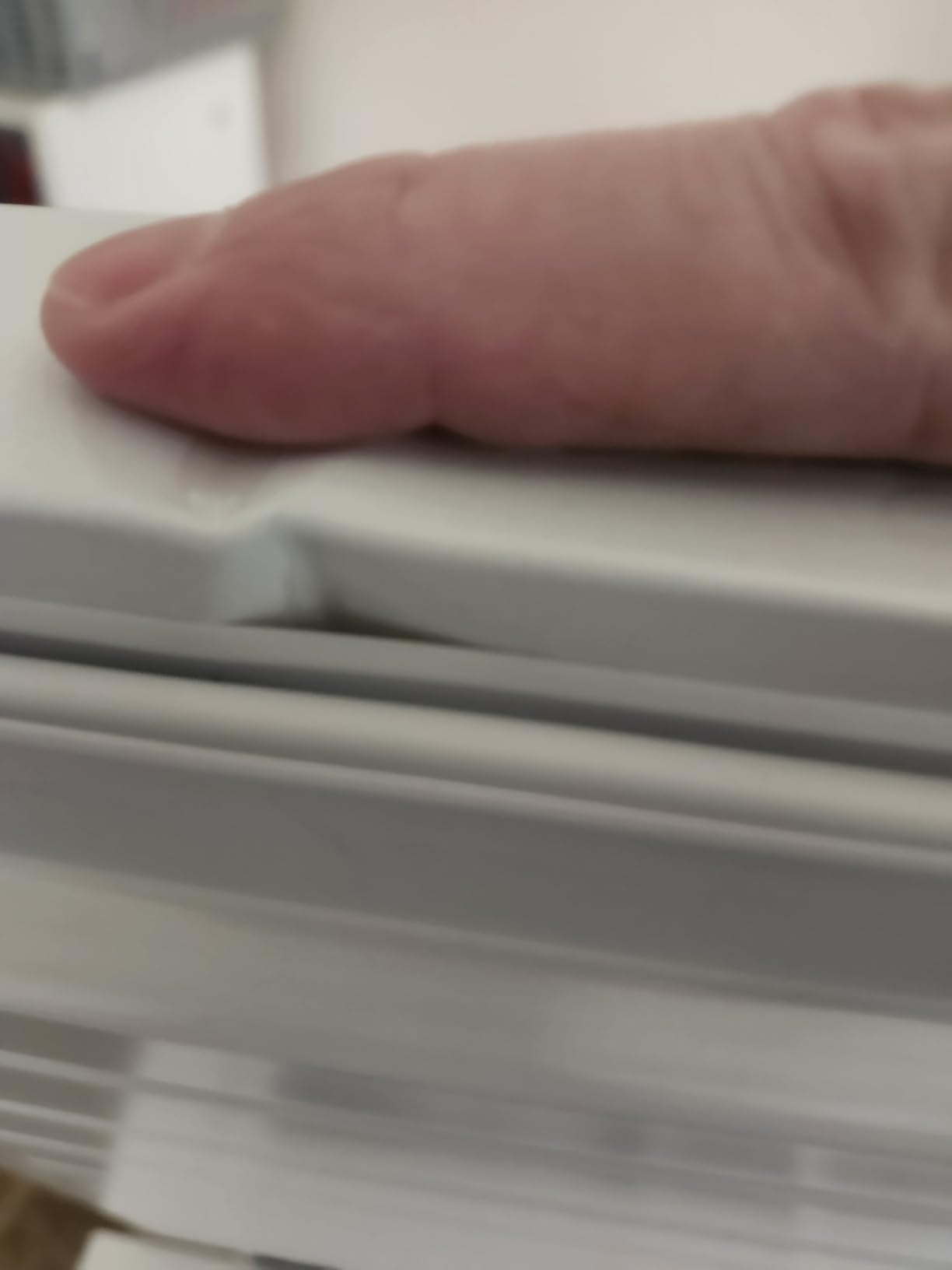 BLACK+DECKER 16.2 Cu. Ft. Chest Freezer, R600a Refrigerant, BCF1620E, White customer photo 1
