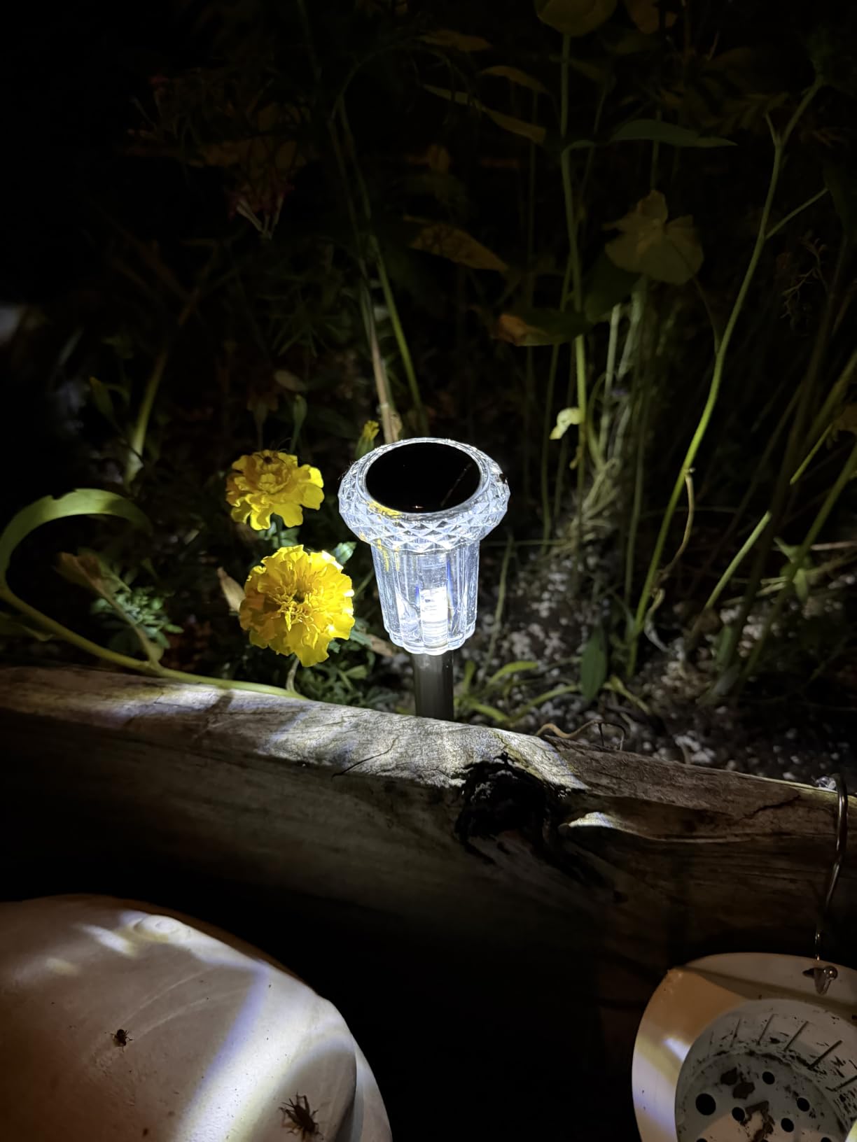 DenicMic Solar Halloween Lights Outdoor Waterproof 10 Pack Halloween Decor customer photo 1