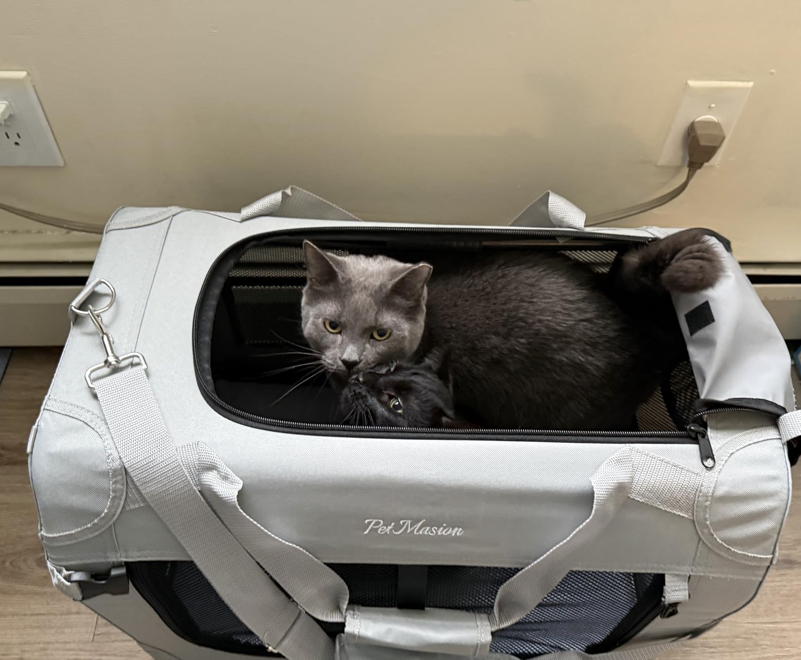 Extra Large Cat Carrier for 2 Cats, Collapsible Soft Sided Pet XL Crate for Large Mudium Big Cat 20lbs+, Car Travel Portable Bag for Long Trips Ride 24