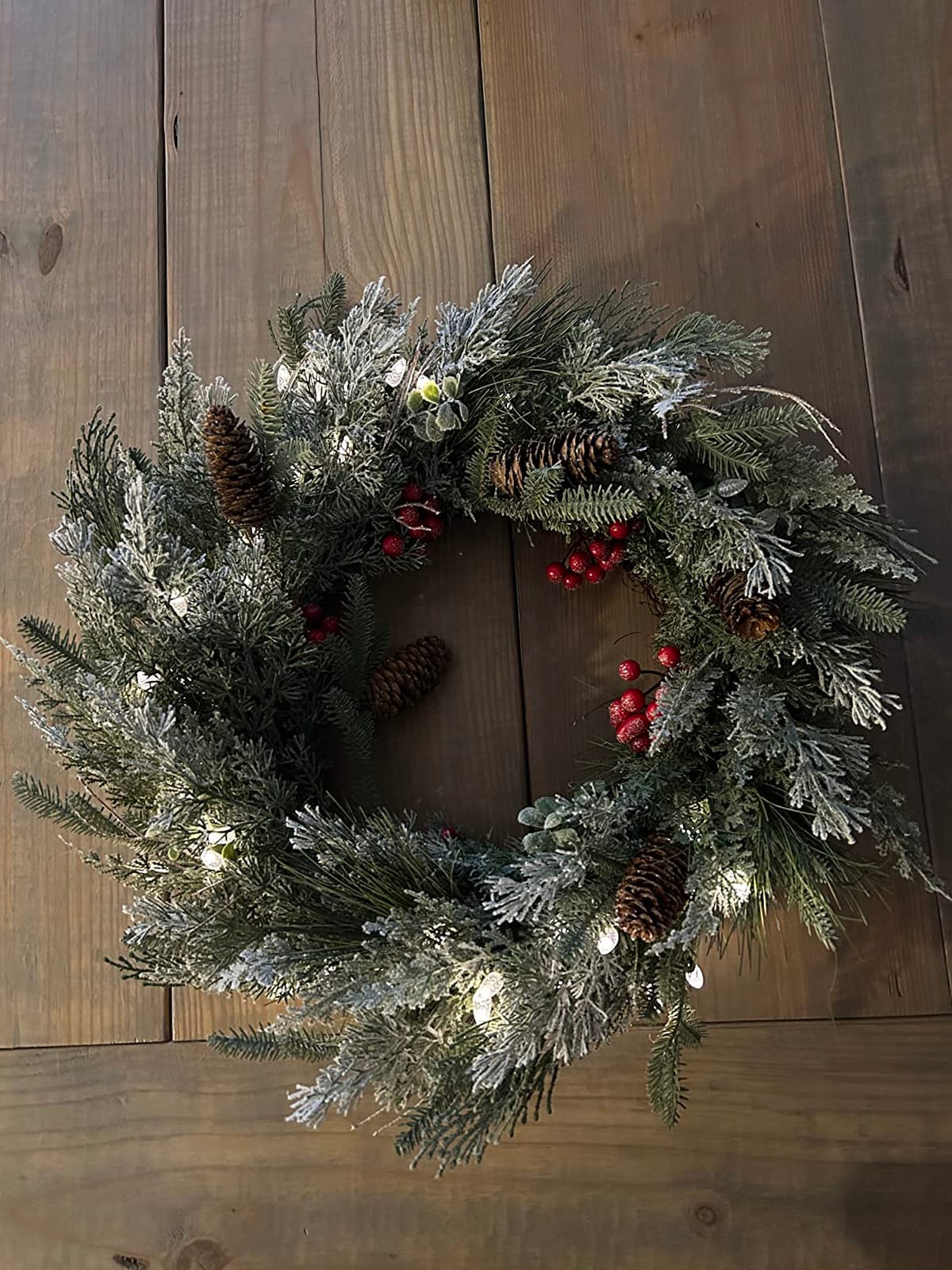 Pre-lit Christmas Wreath for Front Door, Snow Branches, 22 Inch Battery Operated 50 LED Lights, Decorations for Indoor & Outdoor Green customer photo 2