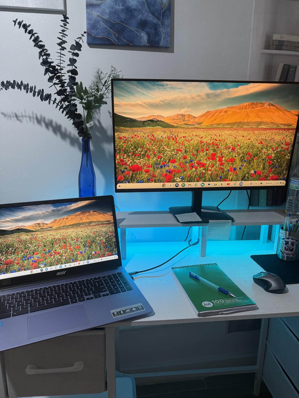 Acer 27in FHD 1920x1080 IPS 120Hz Office Monitor KB272 G0bi | 1ms, AdaptiveSync (FreeSync Compatible), sRGB 99%, HDMI, VGA, VESA Mountable, Bluelight Filter, Flickerless Technology customer photo 1