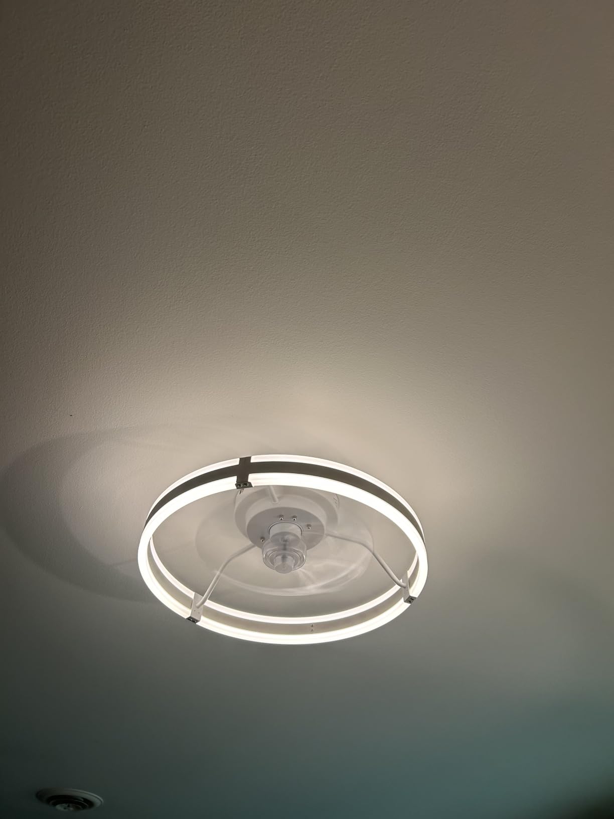 ZMISHIBO Low Profile 19.7'' Ceiling Fans with Lights and Remote, Black customer photo 2