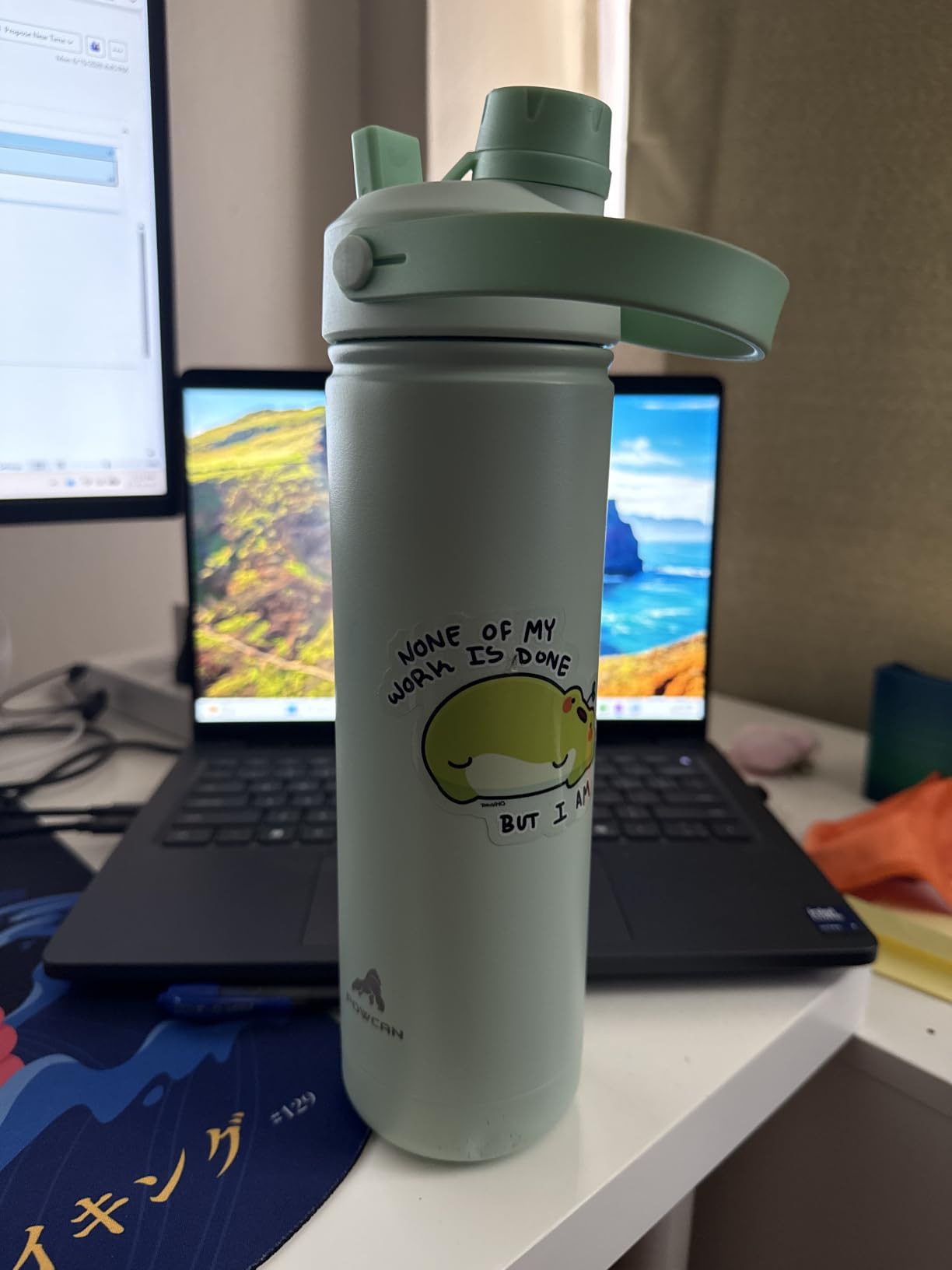 POWCAN 26 oz Insulated Water Bottle with 2-in-1 Straw and Spout Lid, Keep Cold 24H, Leak-Proof, Fits in Car Cup Holder, Stainless Steel Water Bottle for Sports, Travel, and School (Lupine) customer photo 2