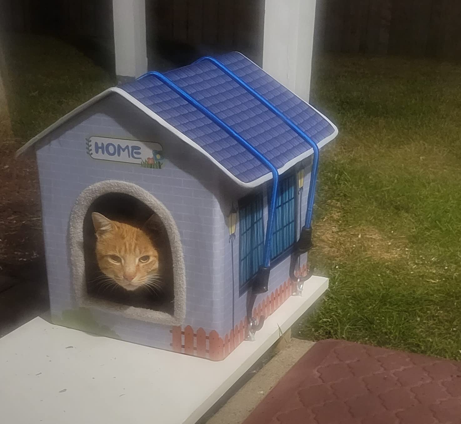 Heated Cat Houses for Indoor/Outdoor Cats with Elevated Heated Cat Bed Waterproof Providing Safe Feral Cats, Easy to Assemble customer photo 1