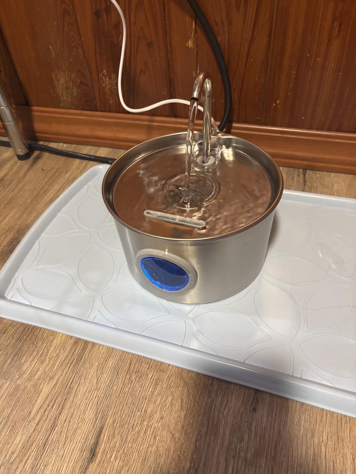 Cat Water Fountain Stainless Steel: 74oz/2.2L Cat Fountain for Drinking - Pet Water Fountain for Cats Inside - Quiet Cats Water Bowl Dispenser - Kitty Drinking Fountains - for Pets& Small Animals customer photo 2