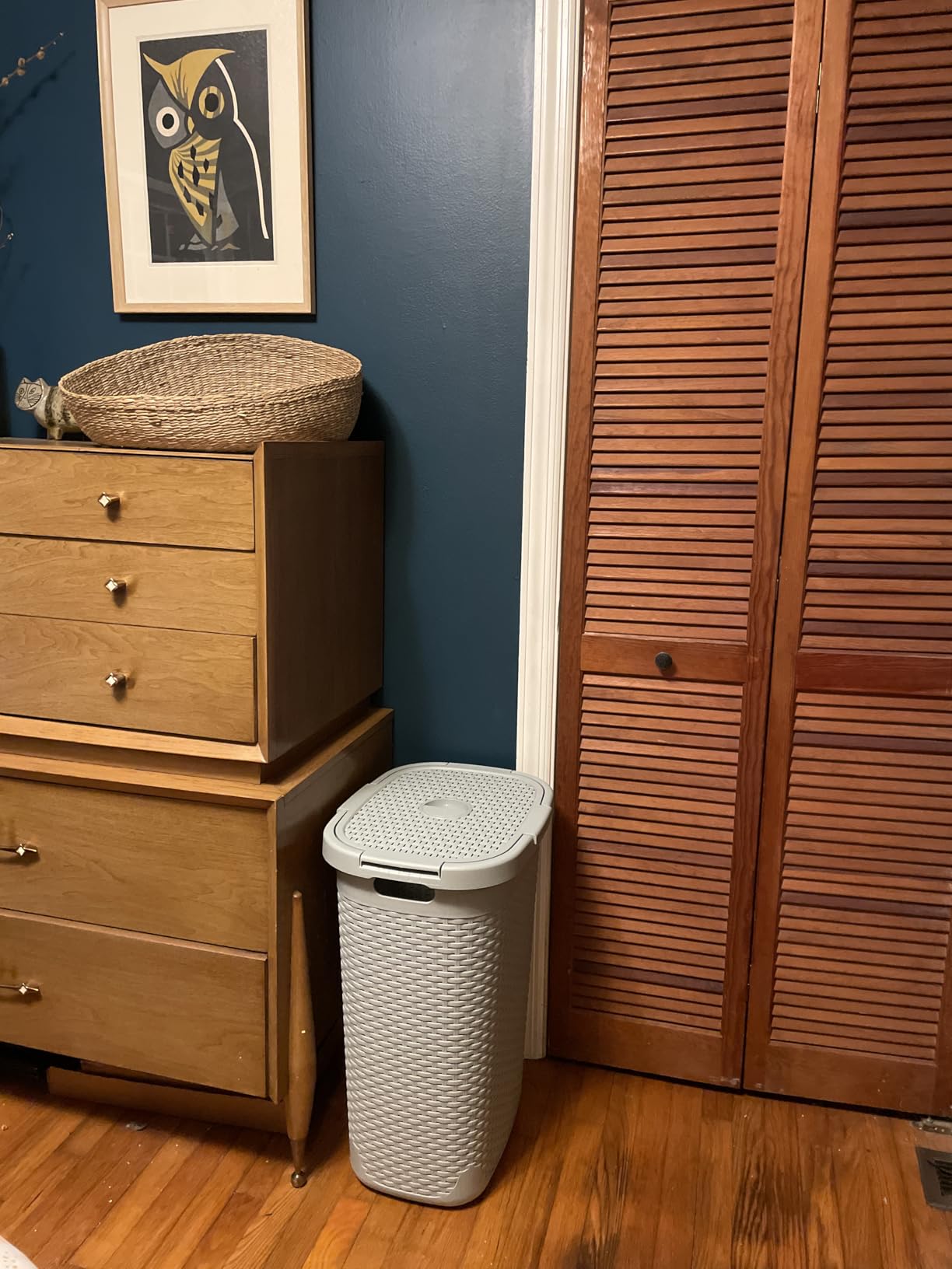 Mind Reader Slim Laundry Hamper with Lid, 60L Tall Clothes Basket, Narrow Tapered Design for Bathrooms, Closets and Laundry Rooms, Plastic, Mint customer photo 1