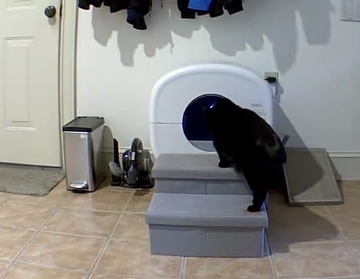 Cumrige Automatic Litter Box,Safety Sensor,App Control,95L Large Capacity customer photo 2