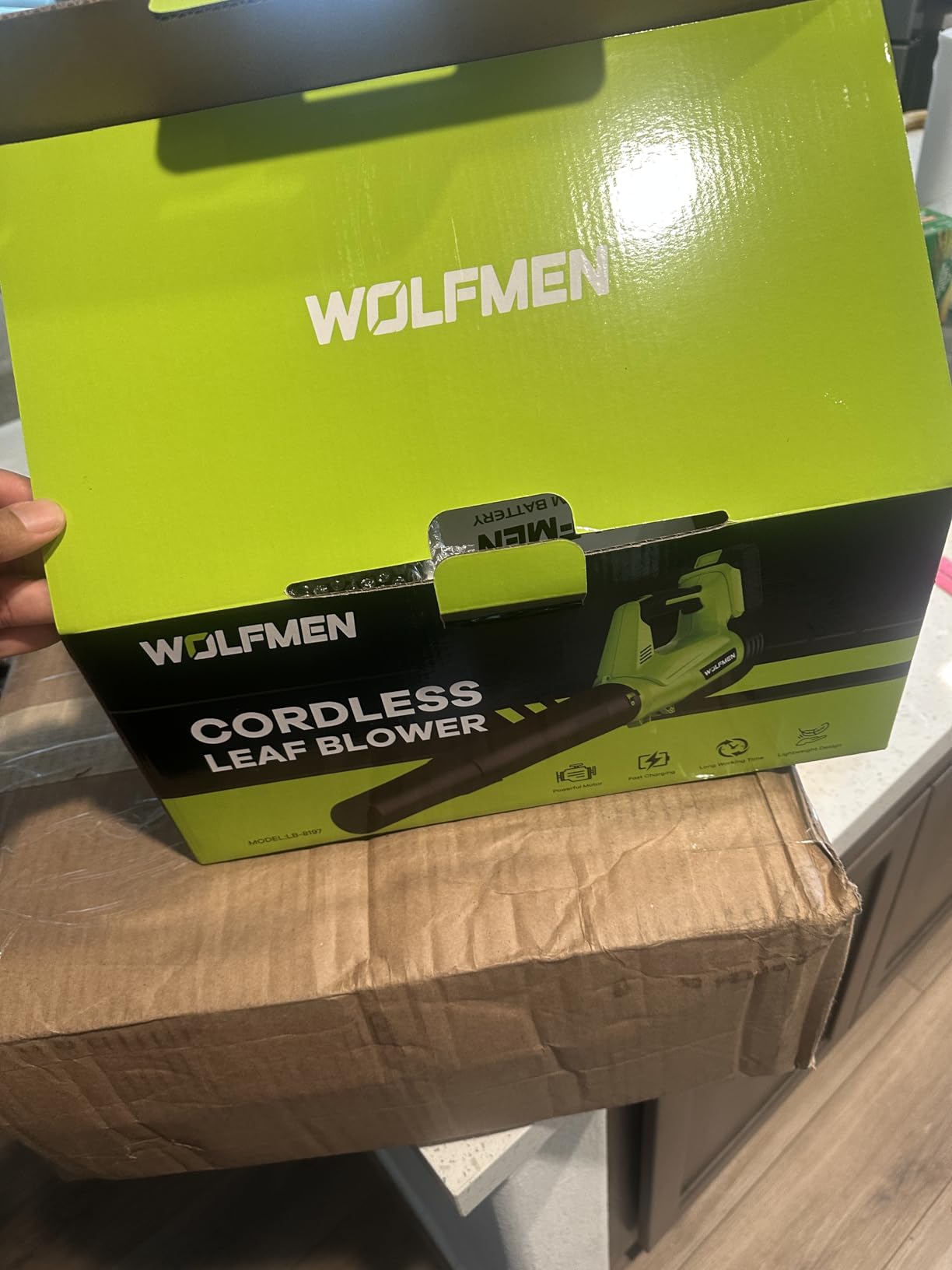 Leaf Blower, Electric Leaf Blower Cordless with 2 Batteries and Charger, 2 Speed Mode, Lightweight Cordless Leaf Blowers for Lawn Care, Blowing Leaves, Patio Cleaning and Dust, Green customer photo 2