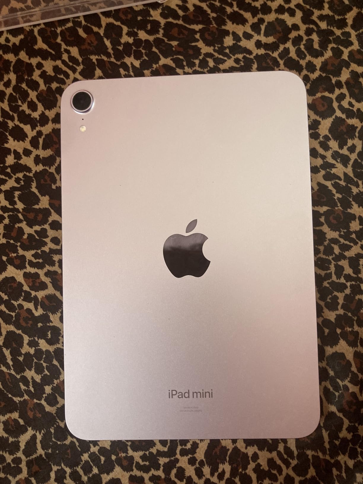 Apple iPad mini (A17 Pro): Apple Intelligence, 8.3-inch Liquid Retina Display, 128GB, Wi-Fi 6E, 12MP Front/12MP Back Camera, Touch ID, All-Day Battery Life — Starlight customer photo 2
