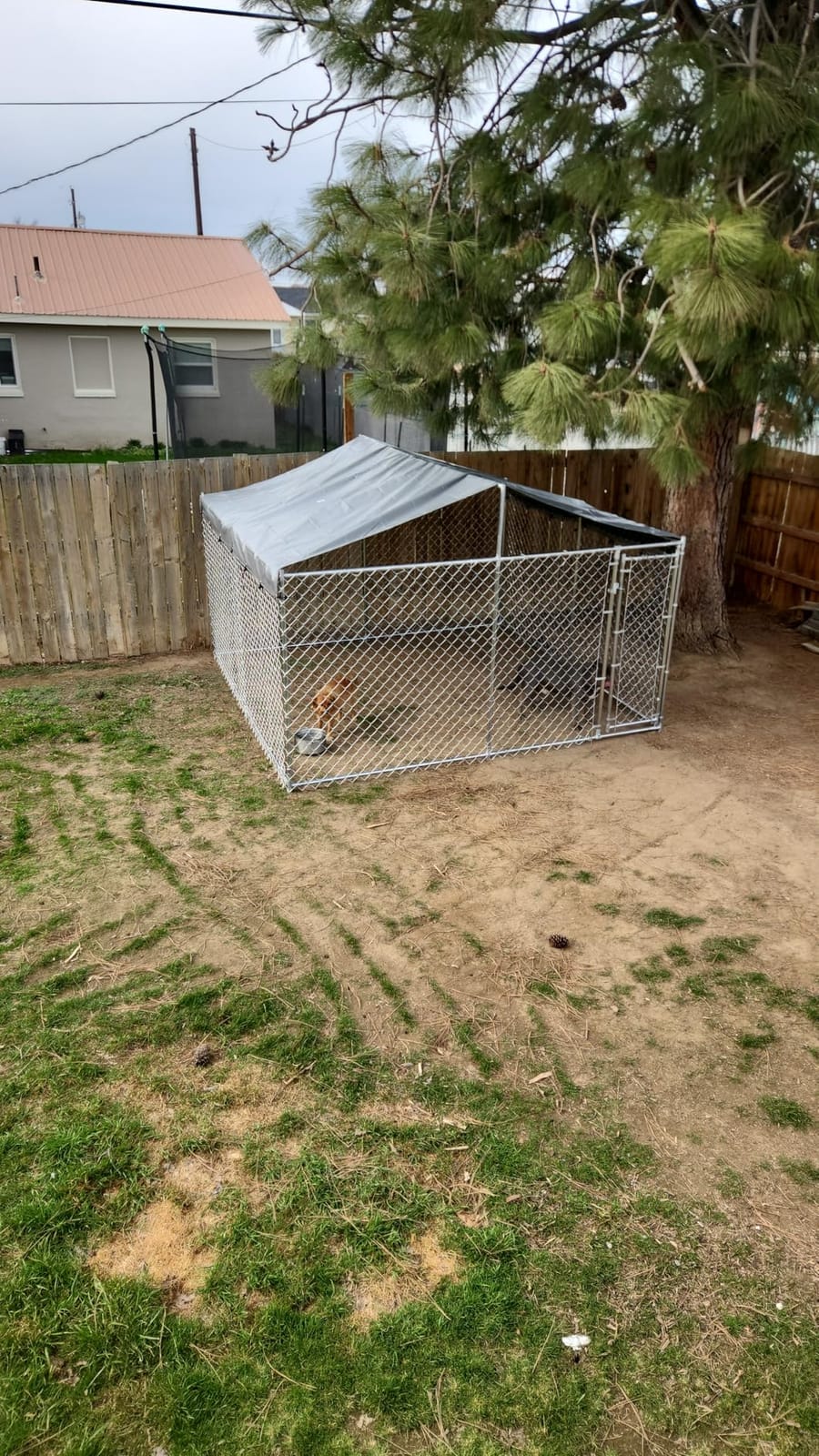 10 x 10 x 6.56 ft Outside Dog Kennel Outdoor Large with Roof, Enclosure with Roof, Outdoor Heavy Duty Dog Run Pens House Pet Playpen with Galvanized Chain Link customer photo 2