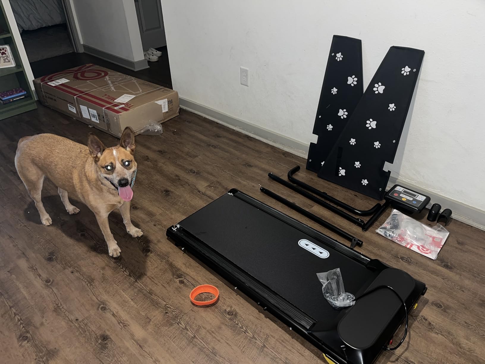 CIIHI Dog Treadmill for Medium Small Dogs - Pet Running Machine customer photo 2