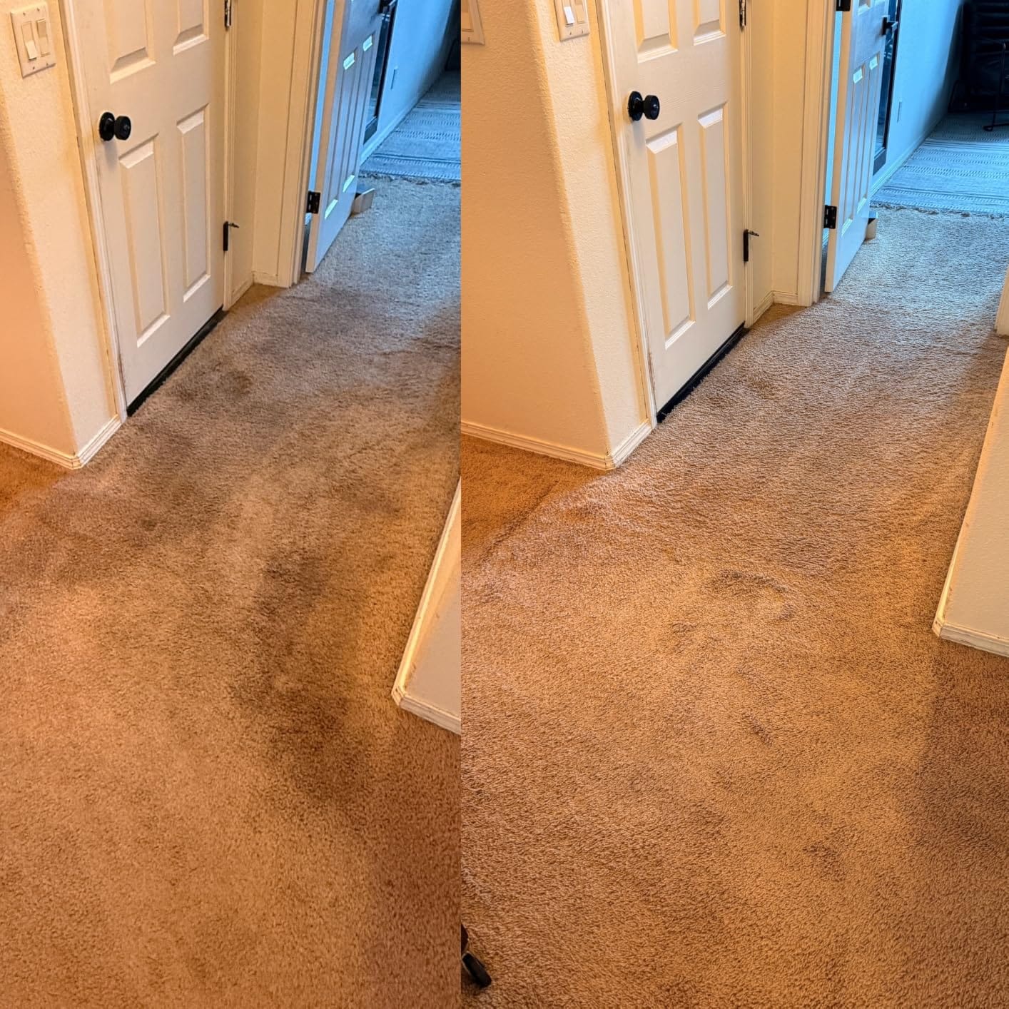 BISSELL Revolution HydroSteam Carpet Cleaner, 4123 customer photo 1