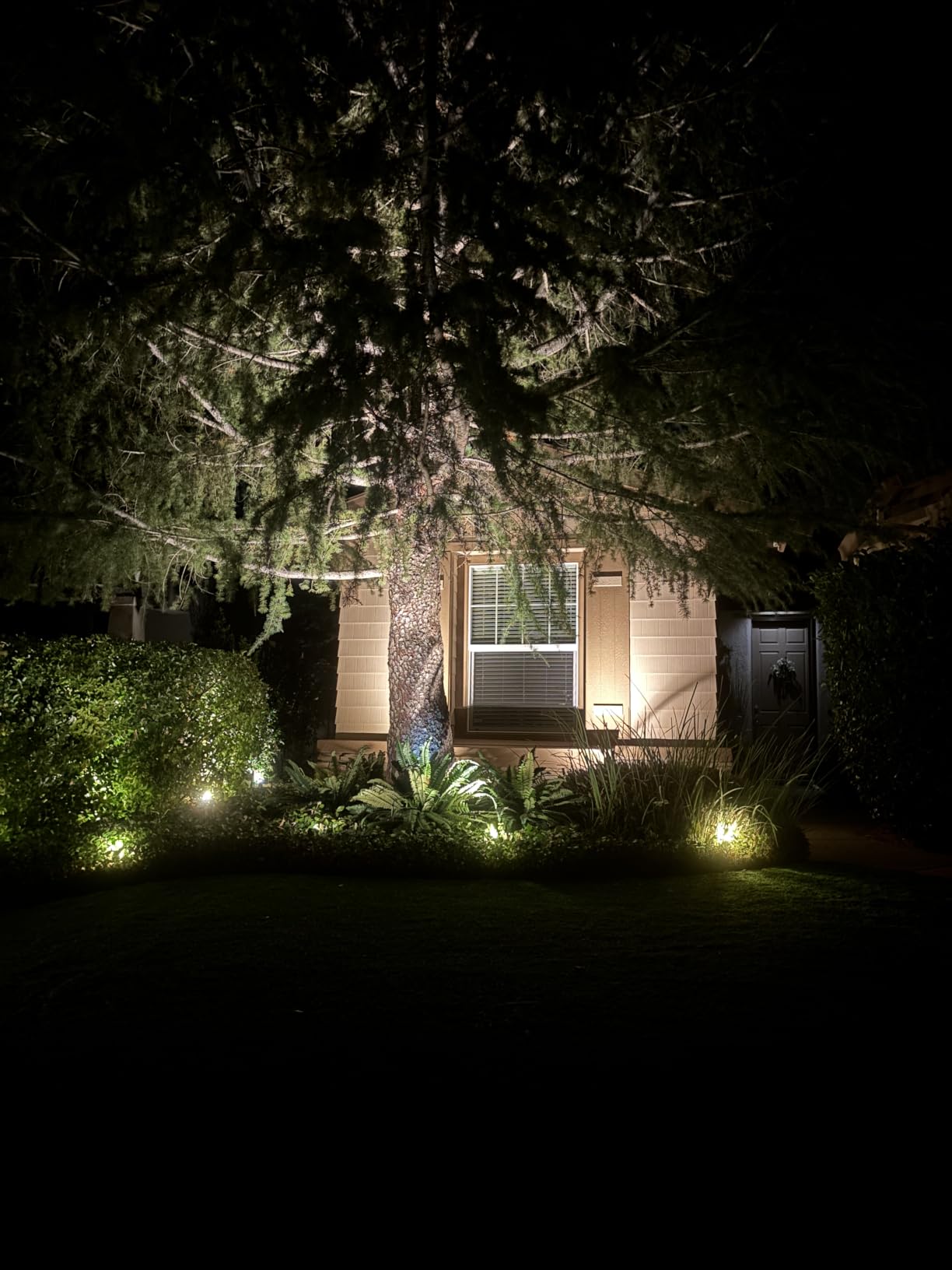 SUNVIE All-in-One LED Low Voltage Landscape Lighting Kit Dusk to Dawn 12PCS customer photo 1