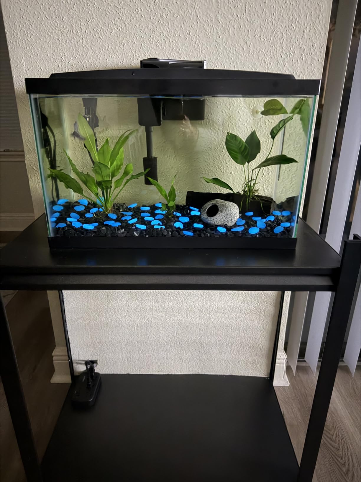 Aqueon Aquarium Starter Kit with Smart Clean Filtration and LED Lighting, Freshwater and Saltwater Fish, 20-Gallon customer photo 2