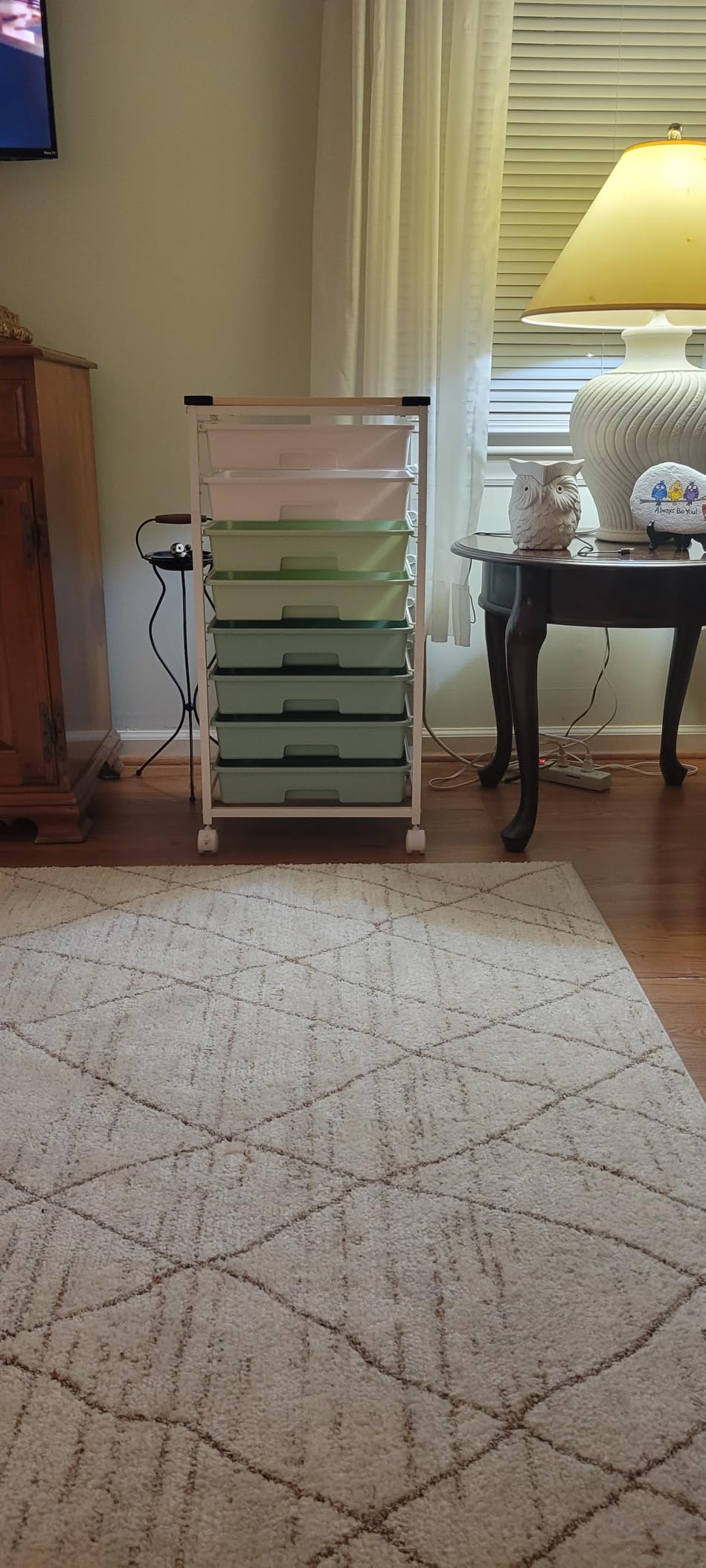SYKIARIOL Rolling Cart with Drawers,Craft Organizers and Storage, Green customer photo 2