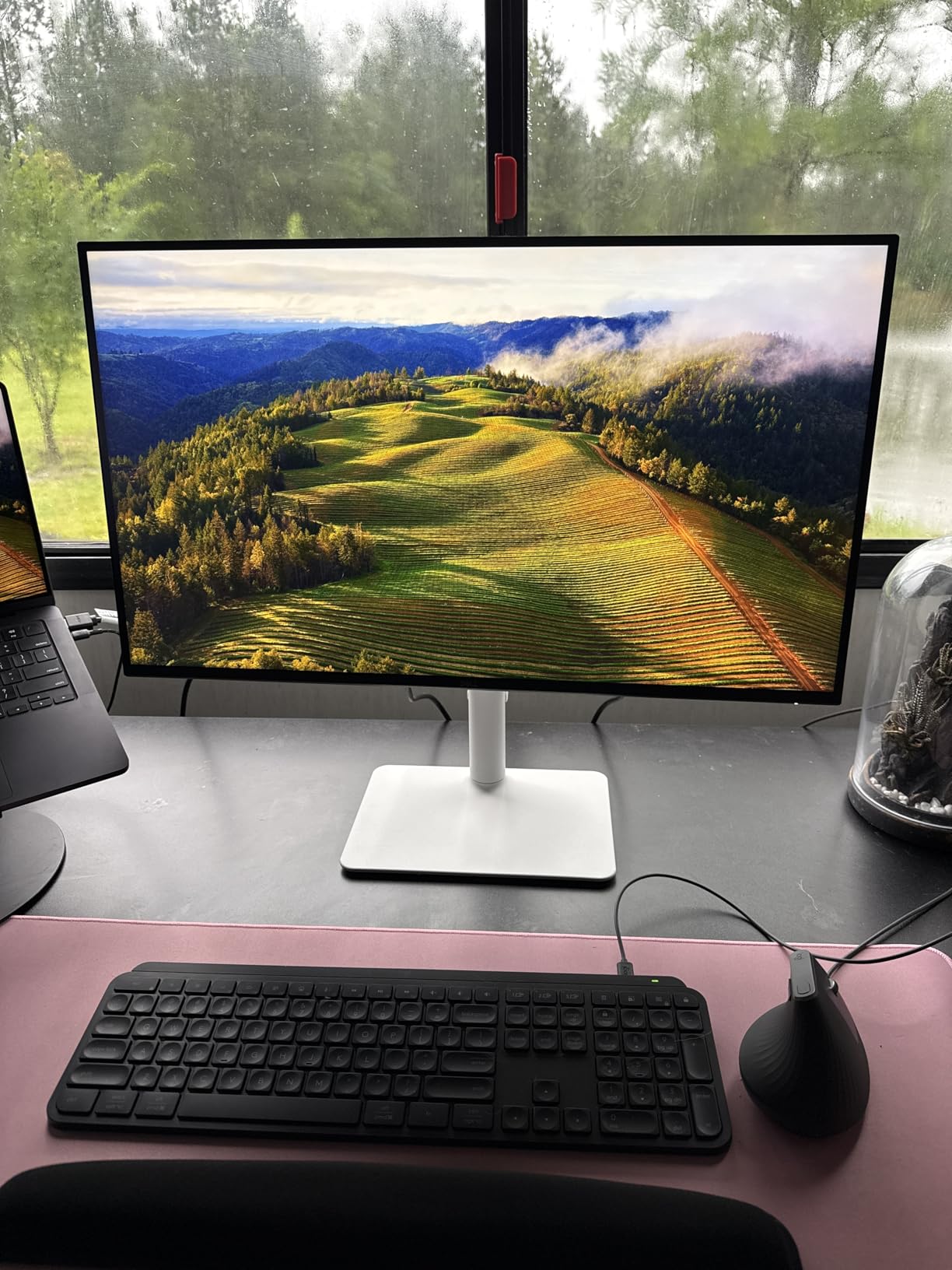 Dell 27 Monitor S2725QS, 4K UHD IPS, 120Hz, 5ms, FreeSync Premium customer photo 1