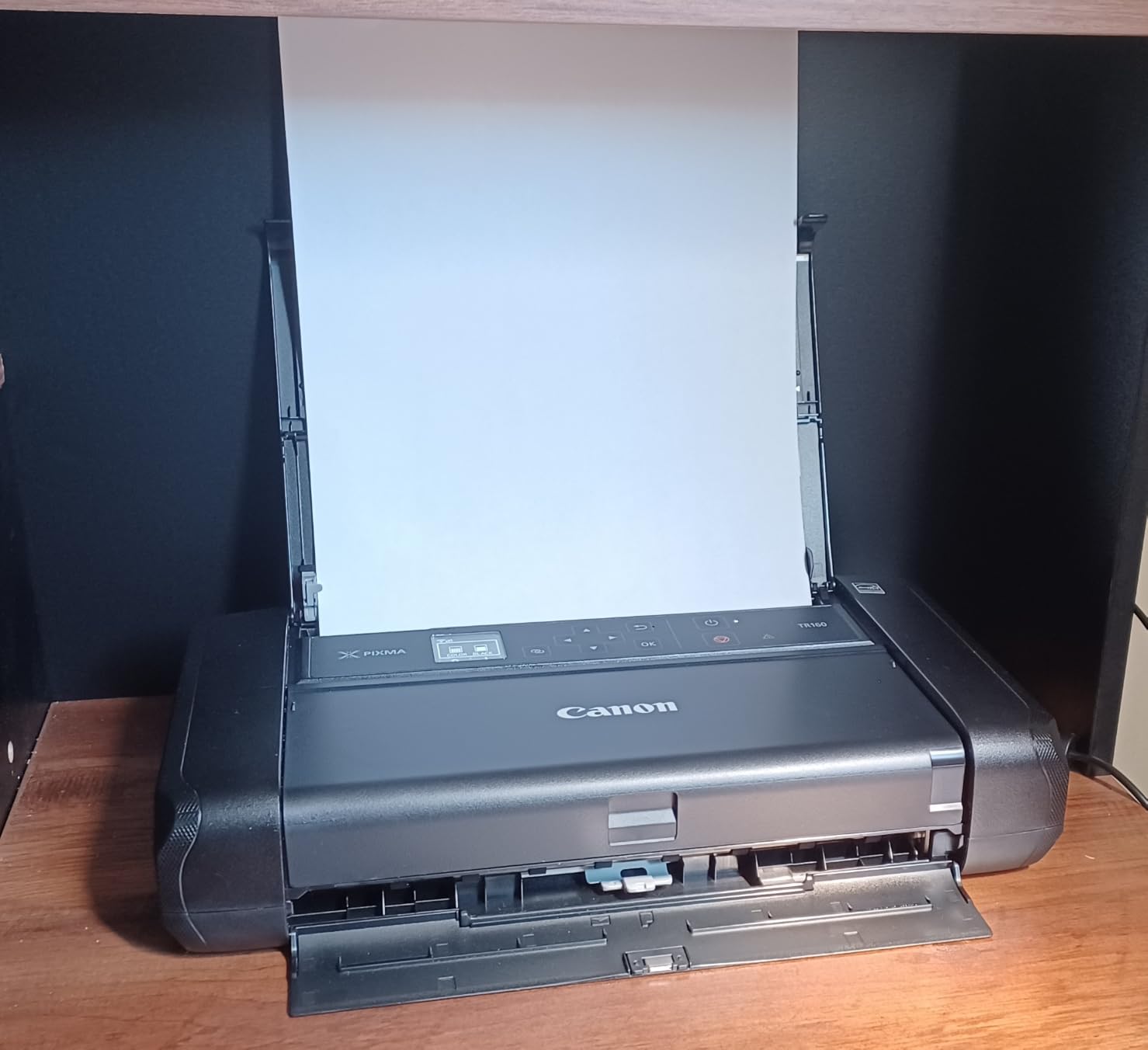 Canon PIXMA TR160 Color Wireless Portable Printer customer photo 2