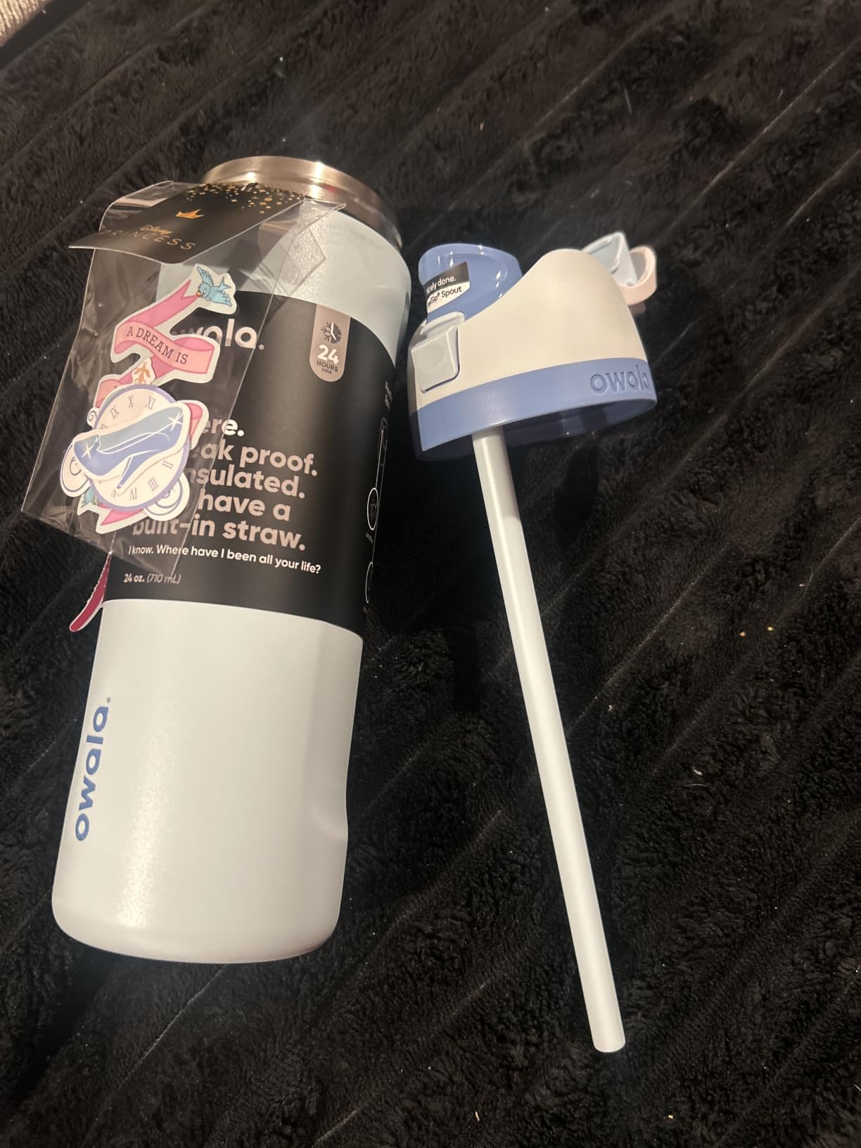 Owala Princess FreeSip Stainless Steel Water Bottle 24 oz Rapunzel customer photo 1