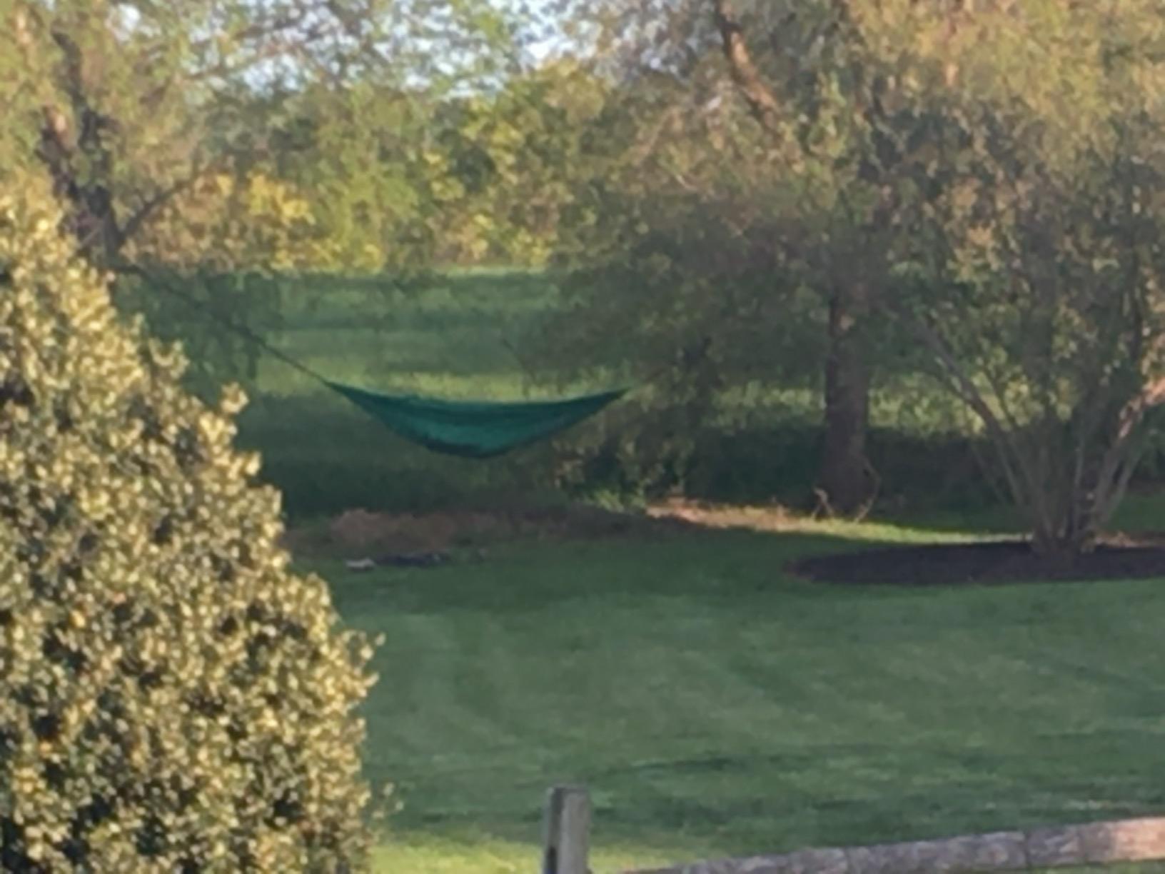 MalloMe Camping Hammock for Adults & Kids - Portable Hammocks for Outside - Hamacas para Adultos Outdoor Single & Double Two 2 Person Hammock - Hamaca/Hamacs/Amacas Heavy Duty Tree Travel Hamock customer photo 1