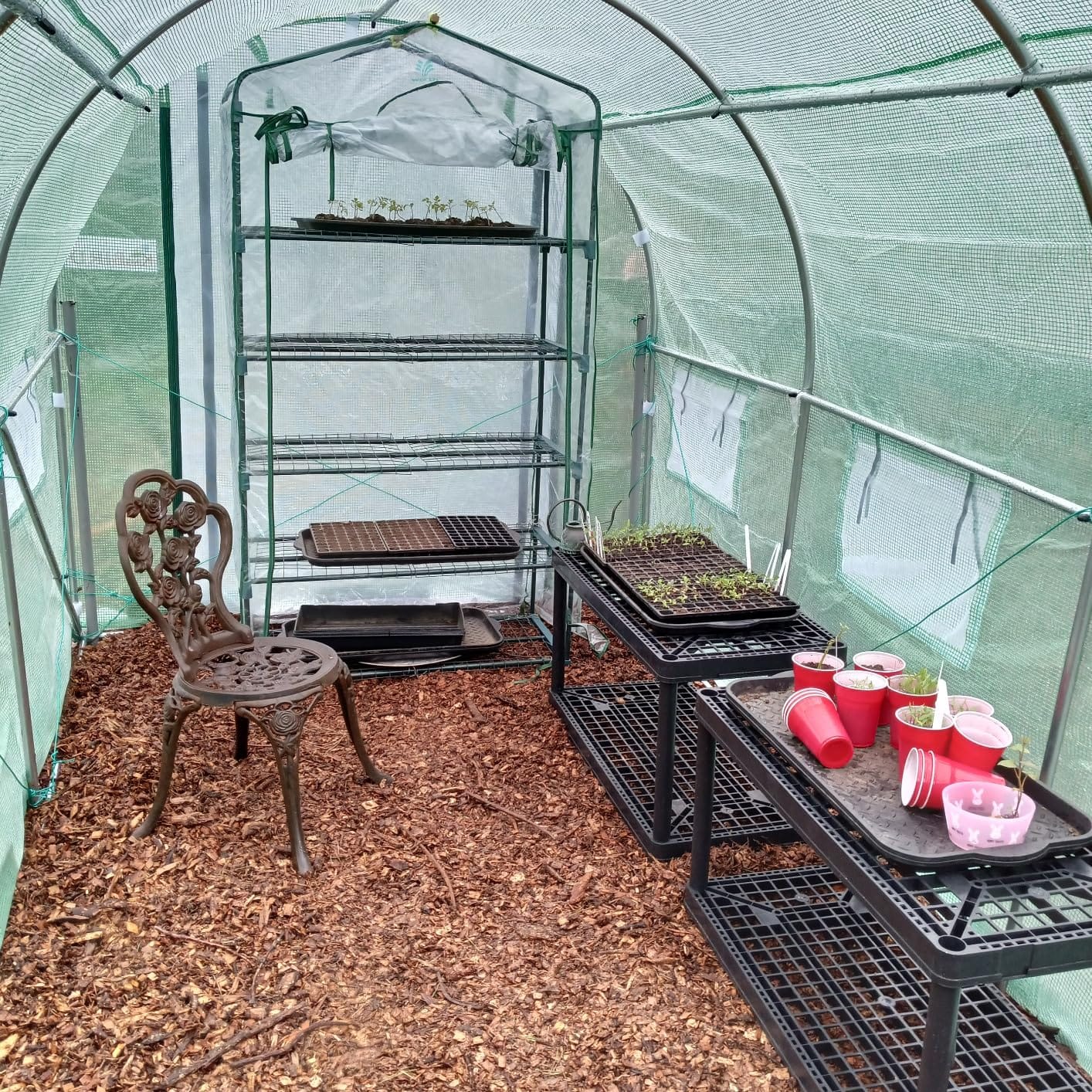 KING BIRD Premium 20x10x6.6FT Greenhouse for Outdoors Large Walk-in House customer photo 1