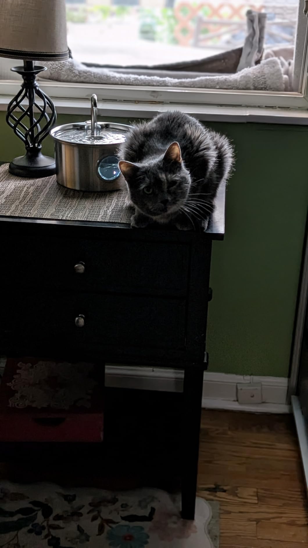 Cat Water Fountain Stainless Steel: Cat Fountain for Drinking - 88oz/2.6L Pet Water Fountain for Cats Indoor - Quiet Cats Water Bowl Dispenser - Pets Feeding & Watering Supplies - for Small Animals customer photo 2