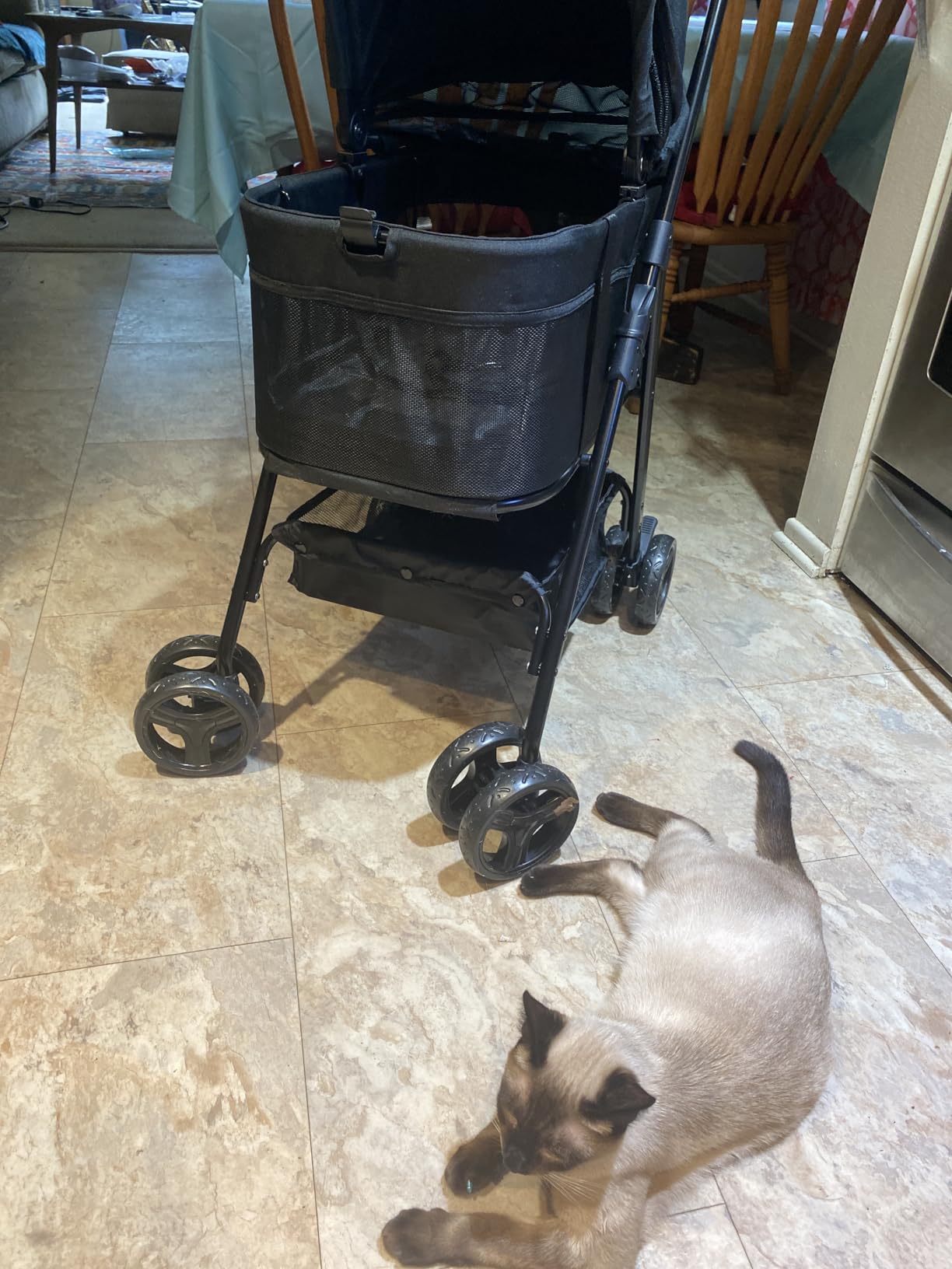 Zoosky 3 in 1 Dog Stroller, Folding Pet Stroller w/Removable Carrier customer photo 1