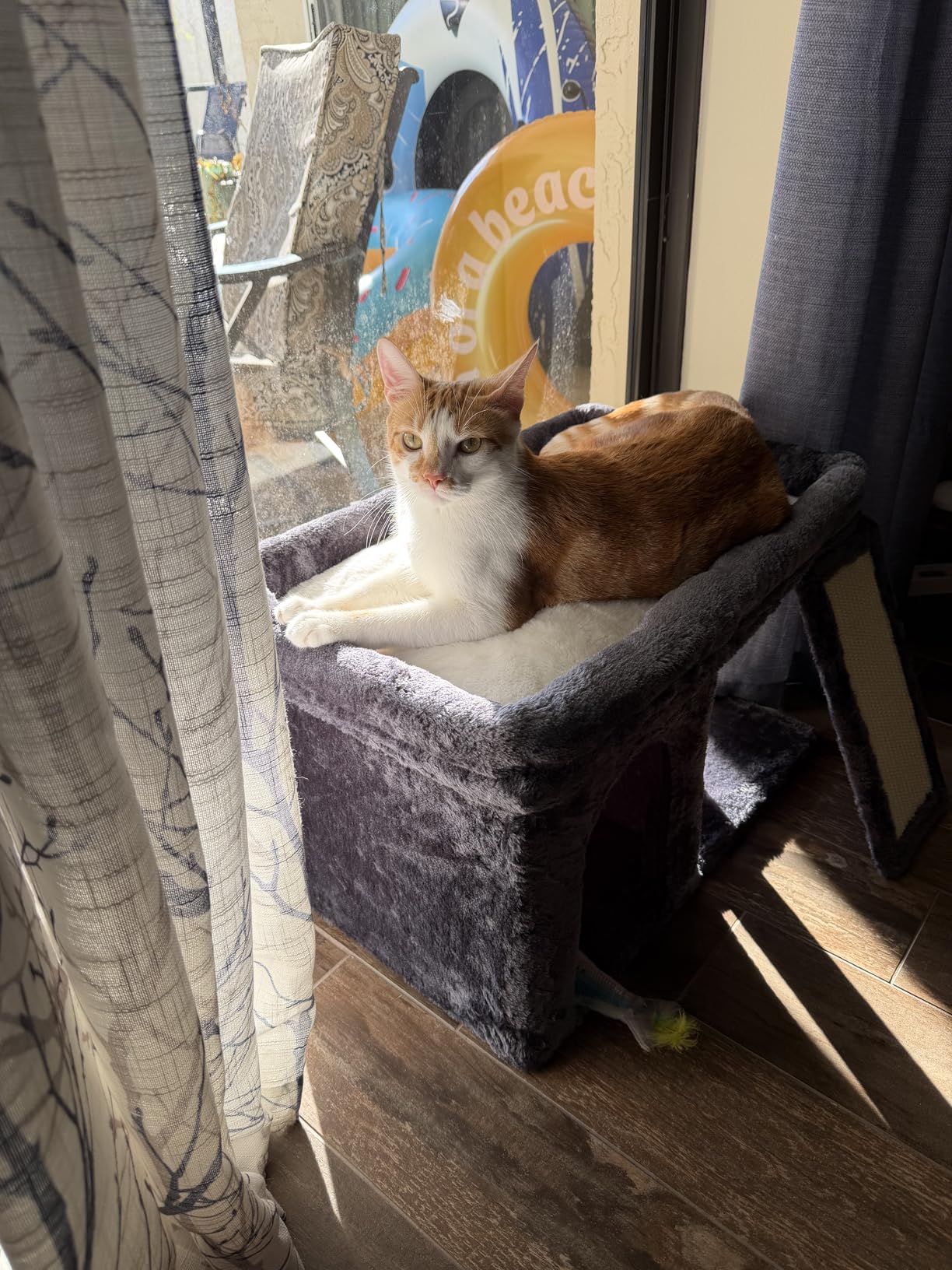 Aechonow XL Cat Tree Tower for Large Adult Cats 20 lbs+, 23x15.7 Perch Bed customer photo 2