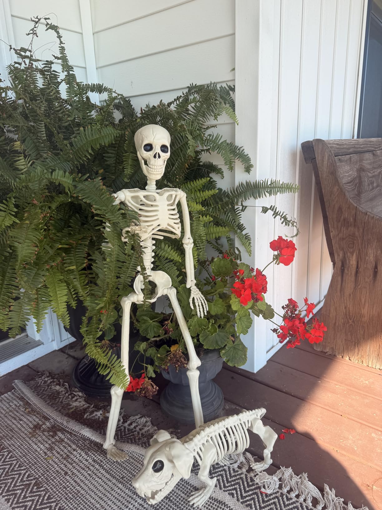 Lighted Human & Dog Skeleton Halloween Decorations Outdoor/Indoor - 36 Inch Realistic Full Body Movable Posable Skeleton Spooky Halloween Decor for Garden Yard Porch Party Haunted Graveyard customer photo 2
