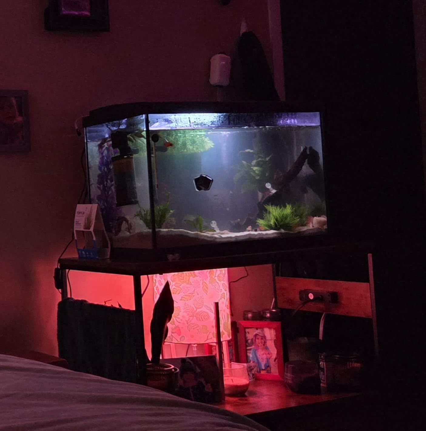 Heybly 20-29 Gal Fish Tank Stand with Drawer, Power Outlet,330lbs HAS001BK customer photo 1