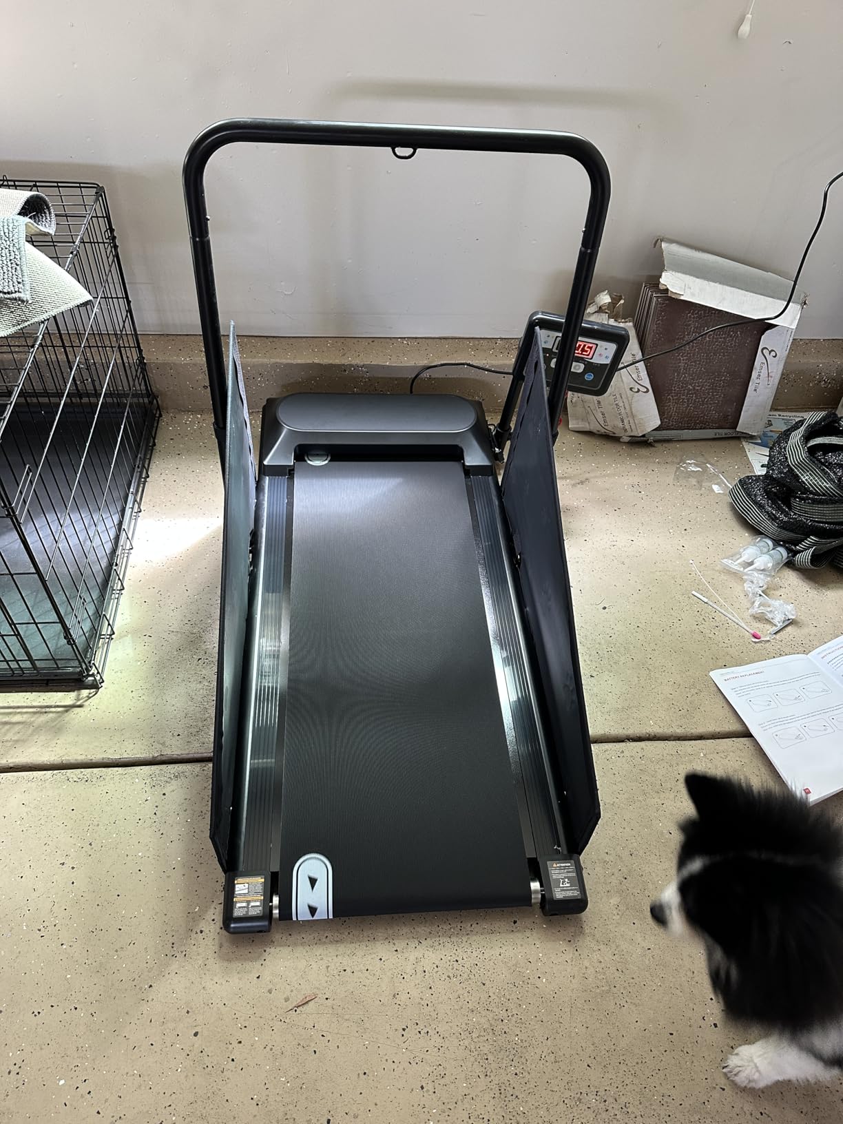 Petbobi Dog Treadmill for Small & Medium Dogs Quiet Motor Indoor Exercise customer photo 1