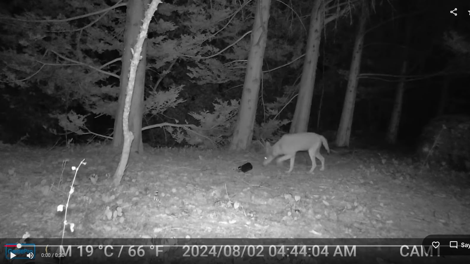 GardePro E6 2.0 WiFi Trail Camera, 4K Video, Dual Antennas customer photo 1