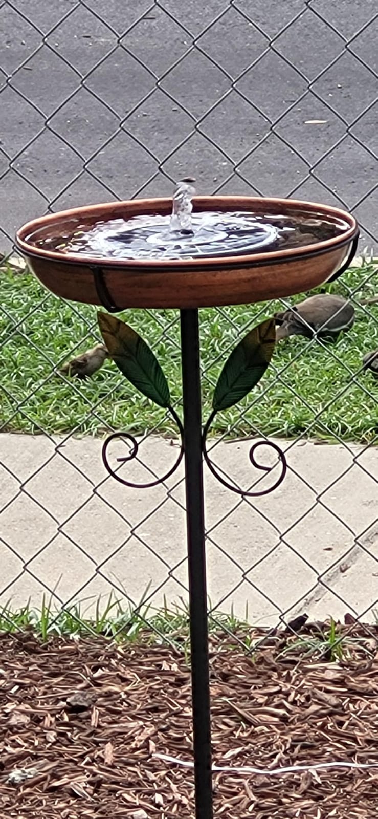 Yzert Solar Fountain, 3-Level Adjustable Water Height, 3.5W Glass Powerful Outdoor Fountain Pump with Rotating Rods & 7 Nozzles for Bird Bath, Garden, Pond, Patio, Flower Pot (2026 Model) customer photo 1