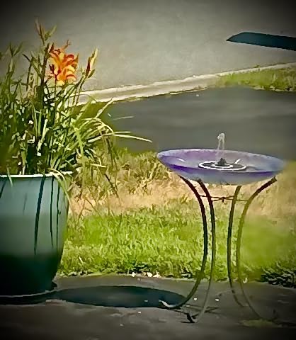 Yzert Solar Fountain, 3-Level Adjustable Water Height, 3.5W Glass Powerful Outdoor Fountain Pump with Rotating Rods & 7 Nozzles for Bird Bath, Garden, Pond, Patio, Flower Pot (2026 Model) customer photo 2