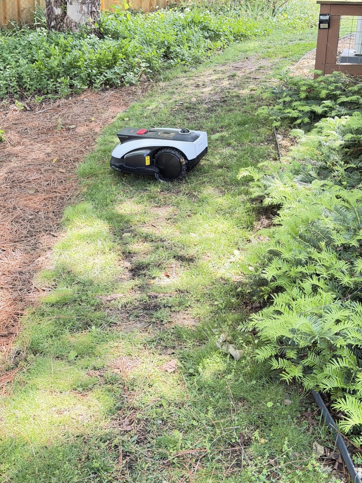 ECOVACS Goat O1000 LiDAR PRO Robot Lawn Mower, Wire-Free Mapping with LiDAR Navigation, AI Obstacle Avoidance, Smart Edge Mowing, App Control, for Lawns Up to 1/4 Acre customer photo 2