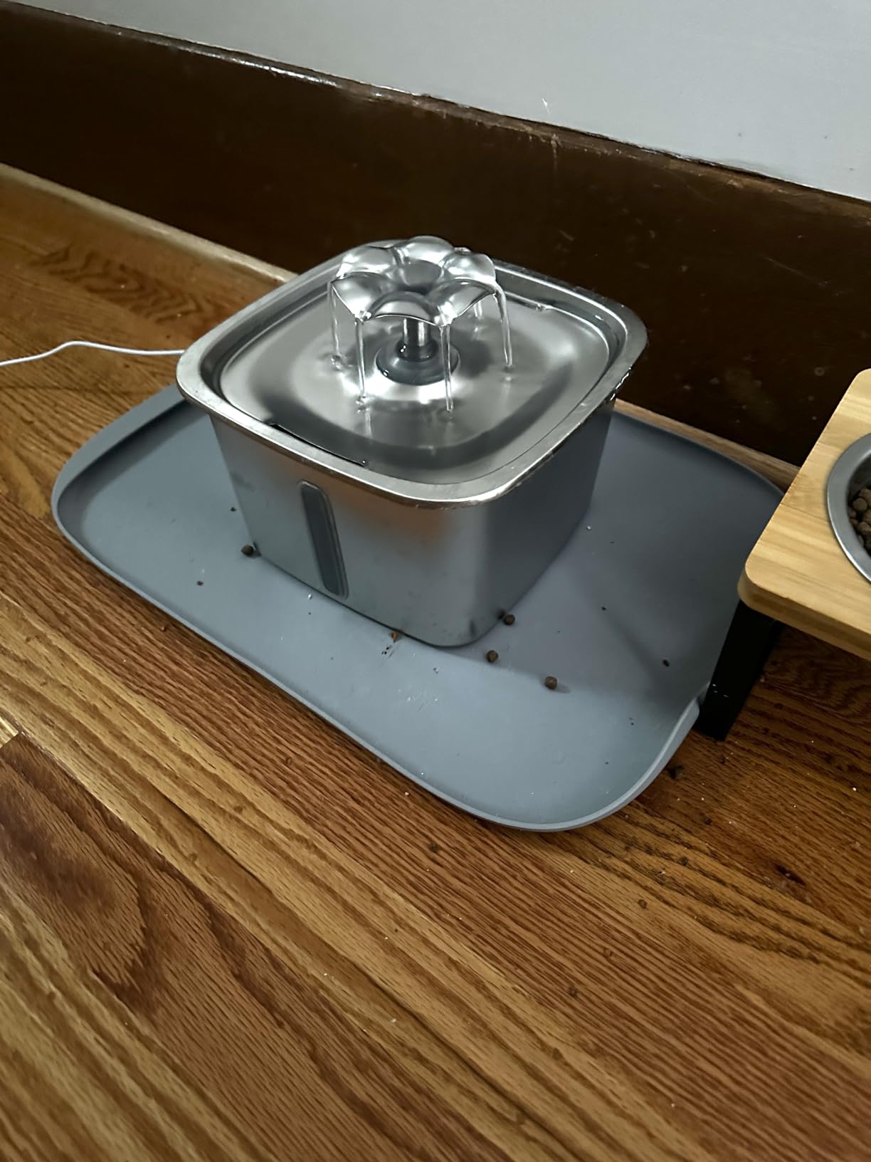 PETLIBRO Automatic Wet Food Cat Feeder 2026 New Version with Semiconductor Cooling, Refrigerated 3 Fresh Meals in 3 Days, App-Controlled Pet Food Dispenser, Stainless Steel Bowl, Easy to Clean customer photo 1