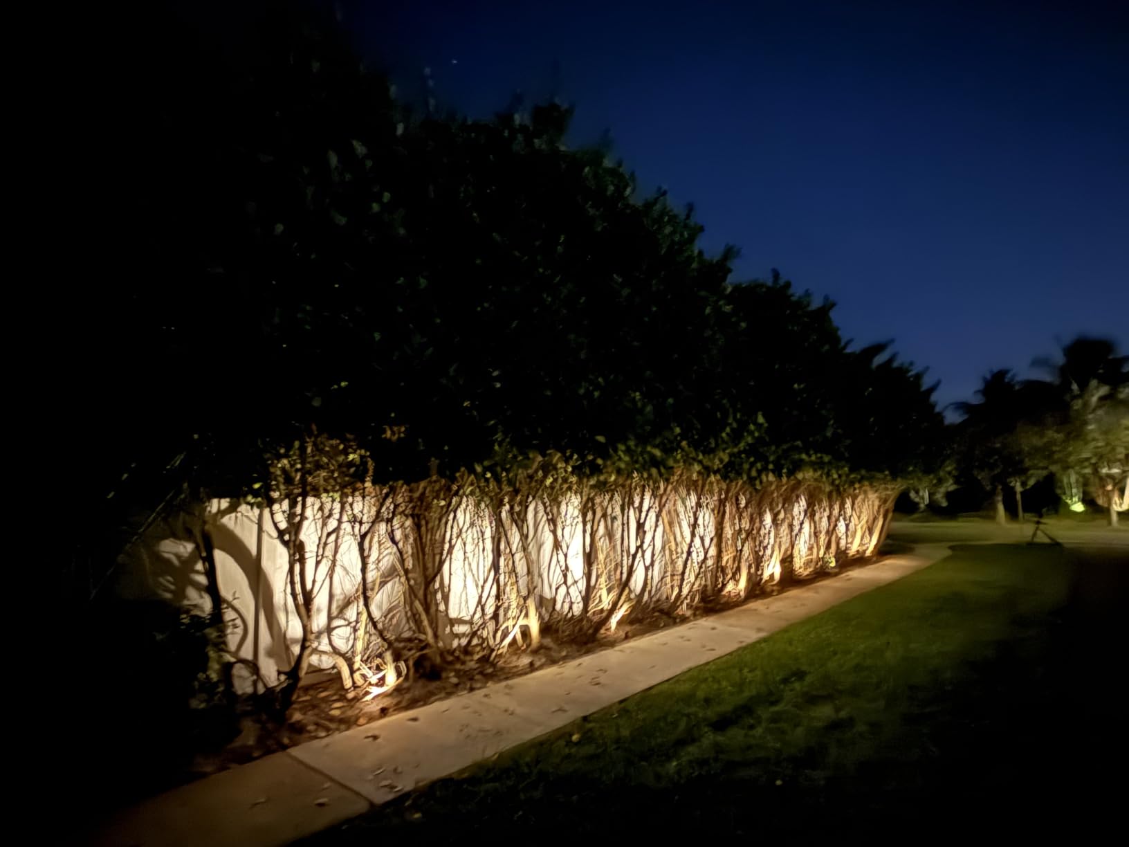 SUNTHIN Outdoor Landscape Lighting, 16 Pack LED Spot Lights Kit, Warm White customer photo 2