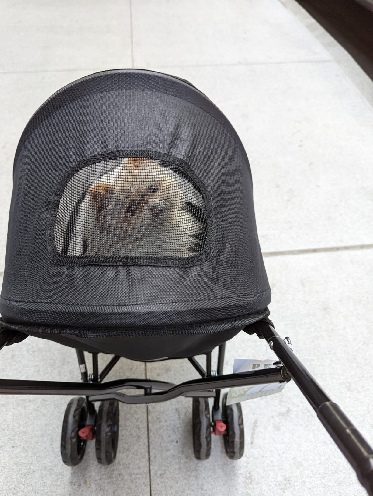 Pet Gear Travel Lite Plus Stroller, Coral customer photo 2