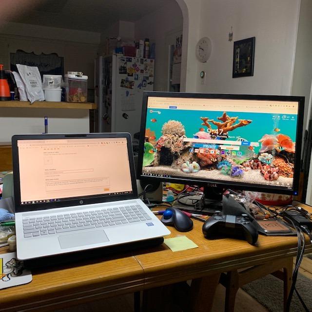 HP Essential Laptop 2026, Intel CPU, 128GB Storage, Office 365, Windows 11 customer photo 2