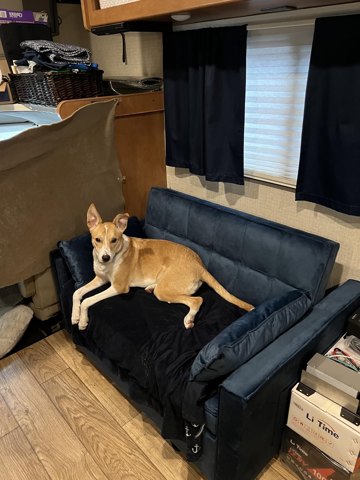 Sleeper Sofa Bed with Adjustable Backrest & Side Pockets, White customer photo 1