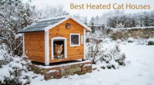 Best Heated Cat Houses