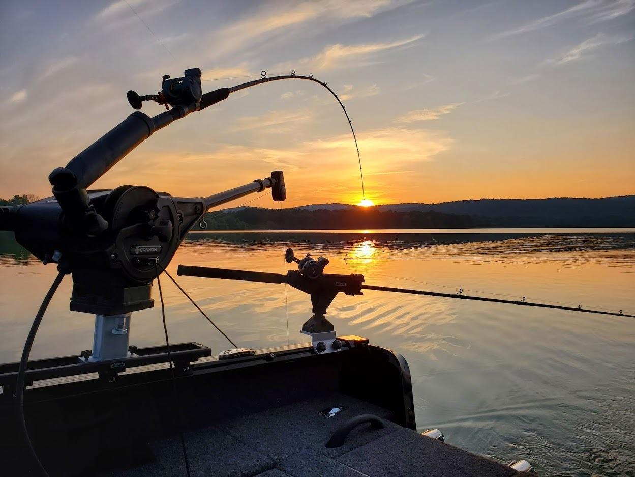 Cannon Magnum Series Electric Downriggers customer photo 1