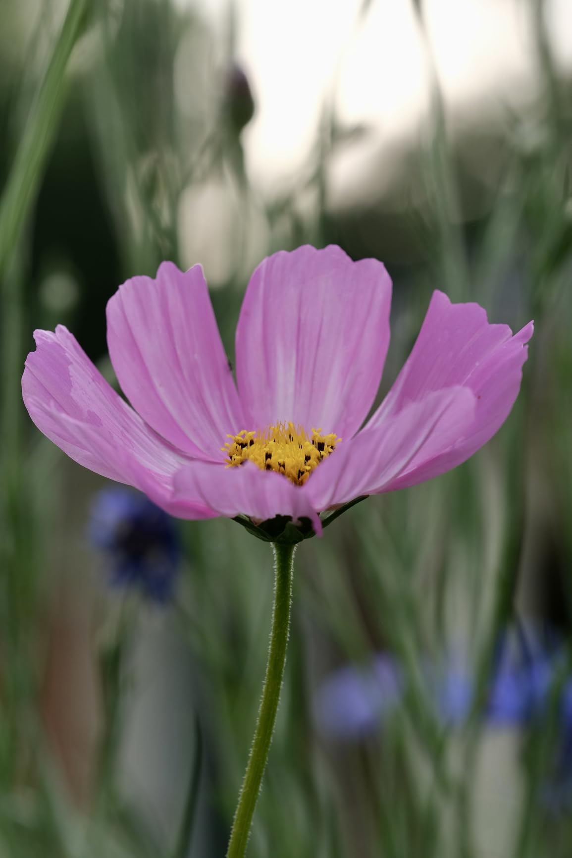 Fujifilm XF80mmF2.8 R LM OIS WR Lens customer photo 2