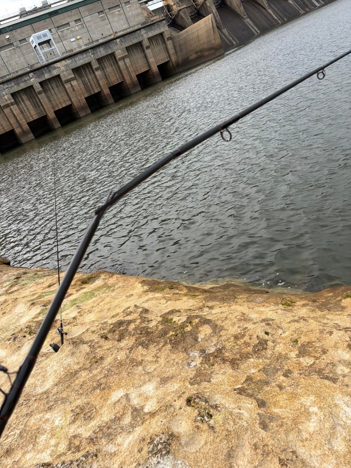 Fiblink Surf Spinning Fishing Rod 4-Piece Graphite Travel Fishing Rod(11 Feet & 13 Feet & 15 Feet) customer photo 1